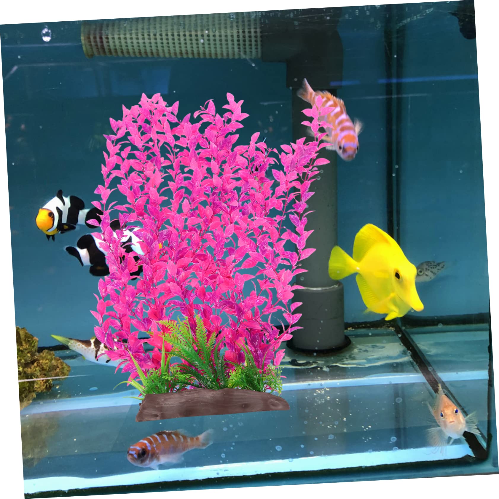 Sosoport 2stücke Künstliche Wasserpflanzen Für Aquarien Lifelike Dekoration Für Fischbecken Langlebig Hochwertigem Kunststoff Für Betta-Fisch Tanks Und Terrarien