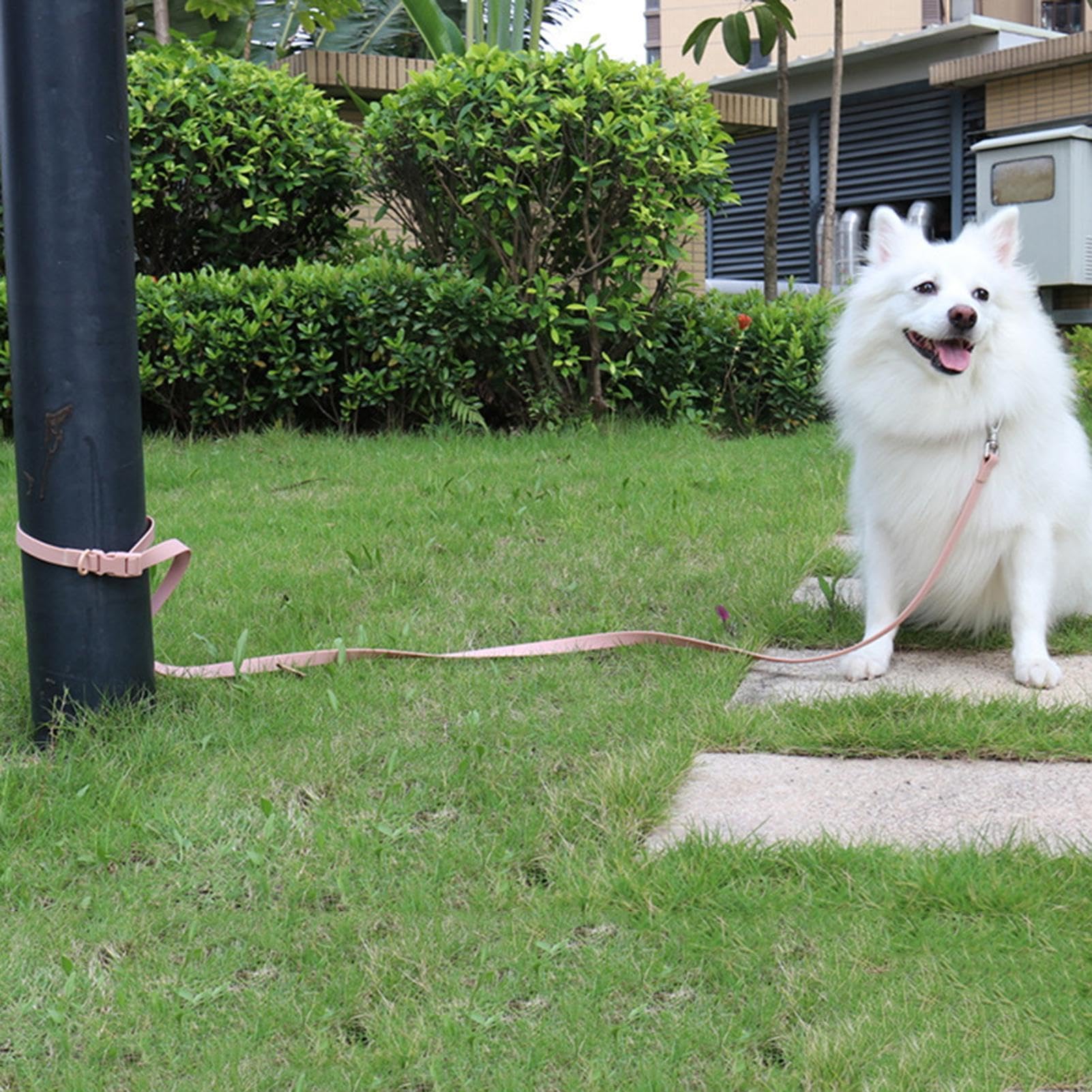 Juego de arneses para perros pequeños, arnés para mascotas | collar y correa en el juego, juego de arnés para mascotas pequeño de collar y correa, arnés ajustable sin tirones con