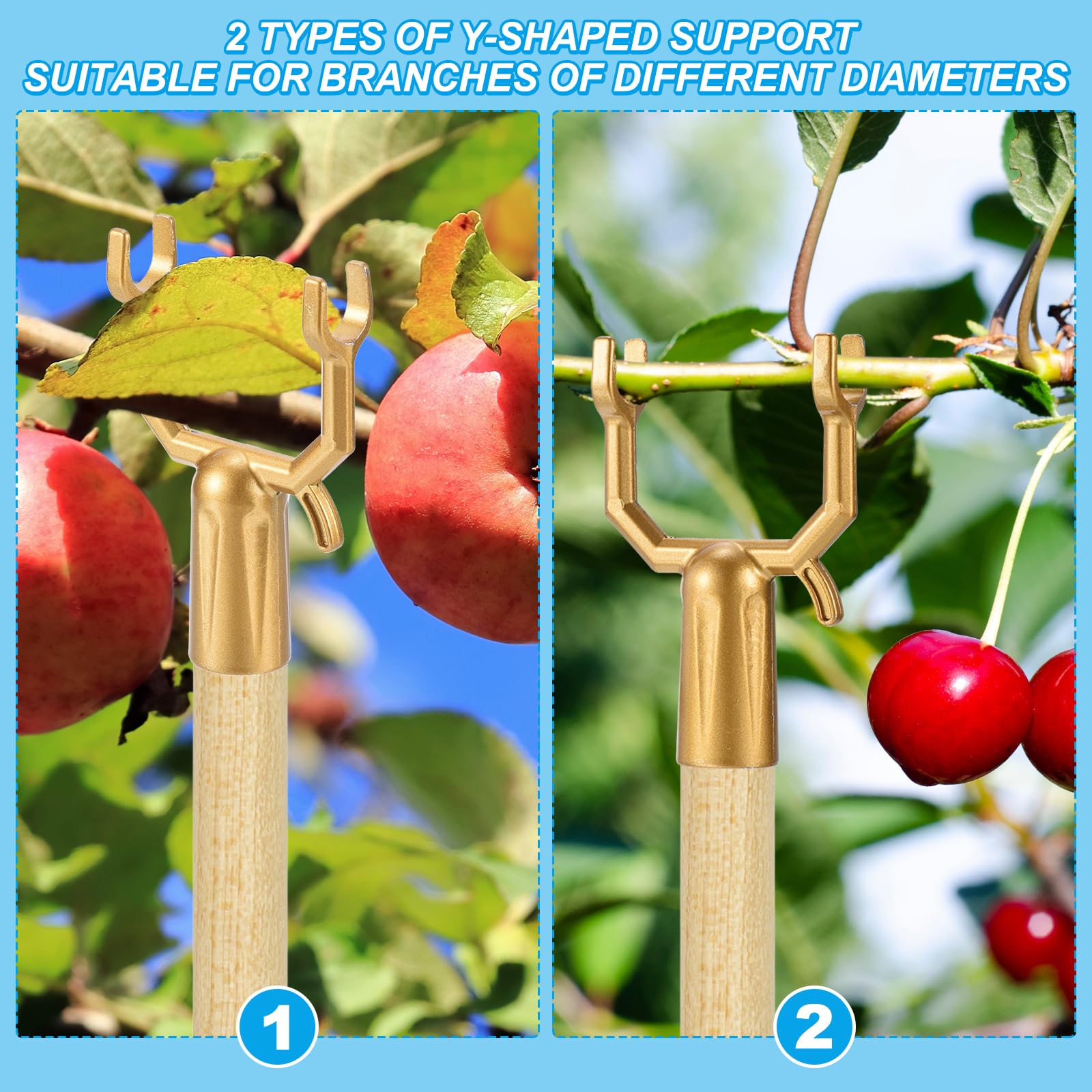 Support Pour Branches D'Arbres Fruitiers - Lot De 5 Supports Métalliques Réglables Anti-Rouille - Jardin - 5