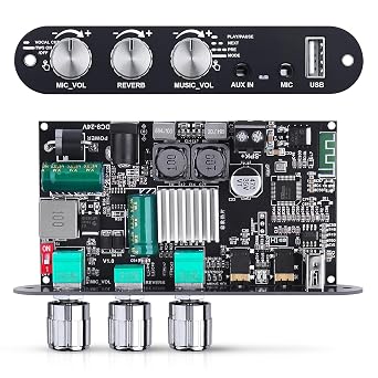 ZK-10001UM Bluetooth 5.3 Amplifier Board, 100W Mono Class D Power Amp with TWS Pairing, USB/AUX Input, Mic/Music Vol, Microphone Reverb Support EQ Adjustment for DIY Speaker 9-24V DC