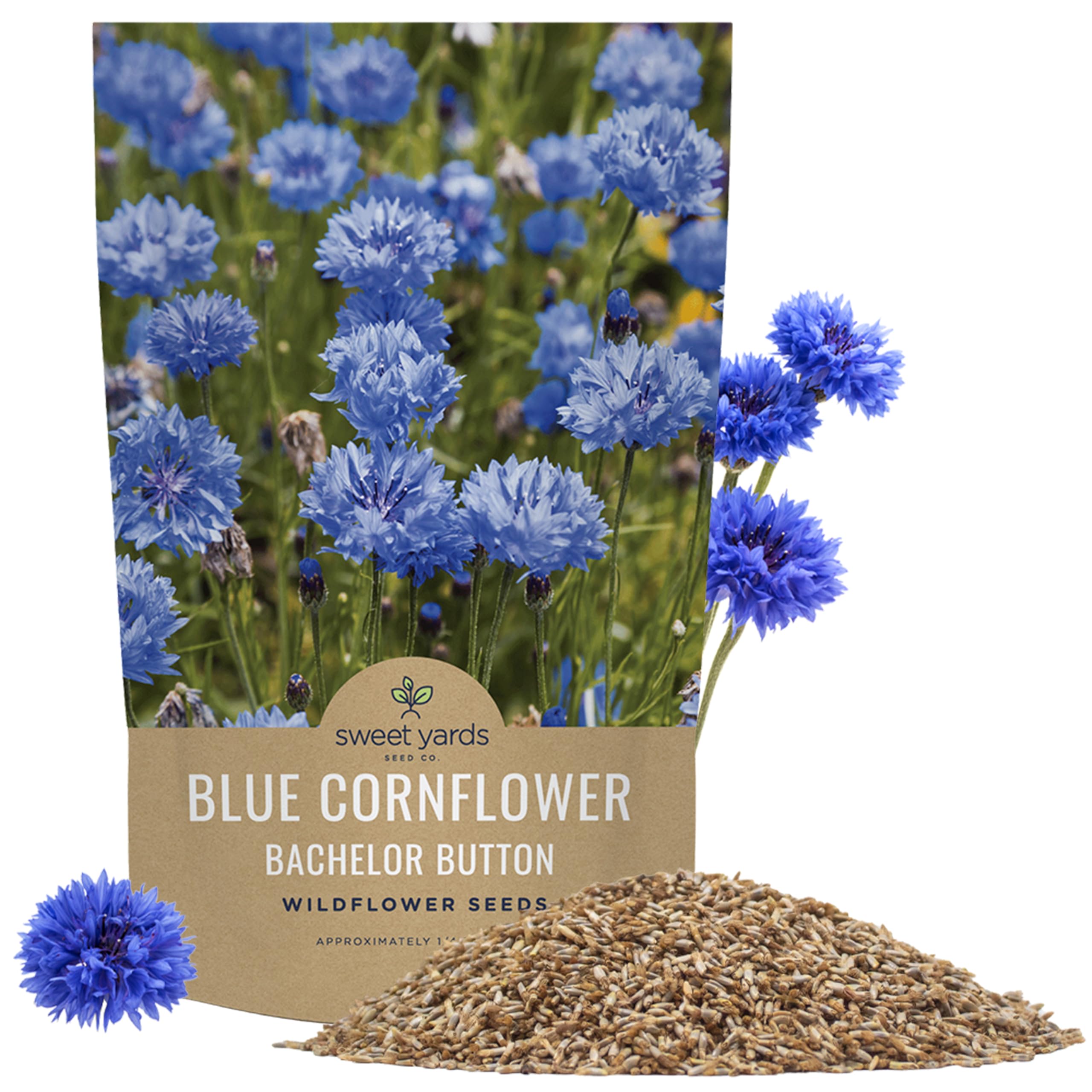 Sweet Yards Blue Cornflower