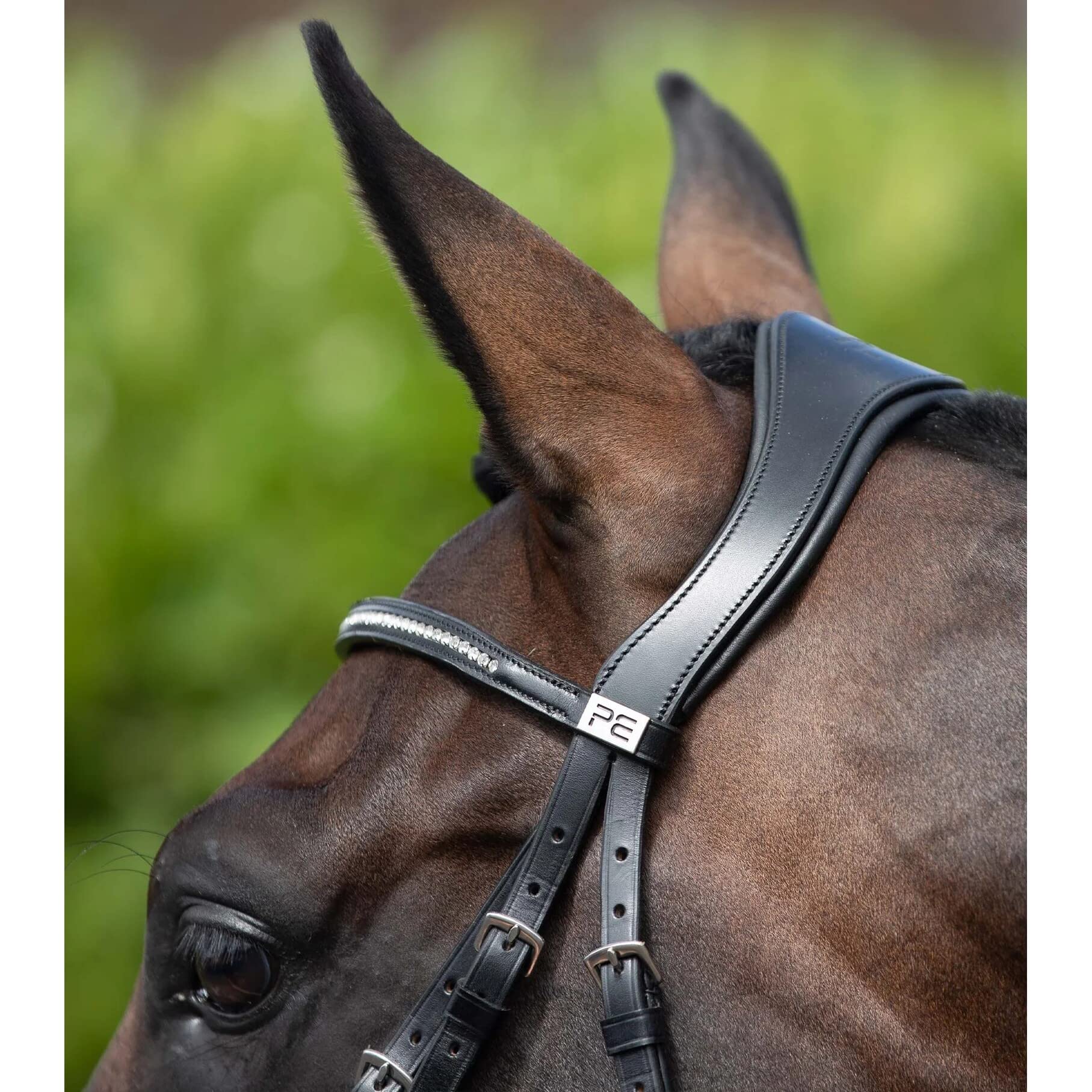 Premier Equine Cabezada anatómica combinada Stellazzio