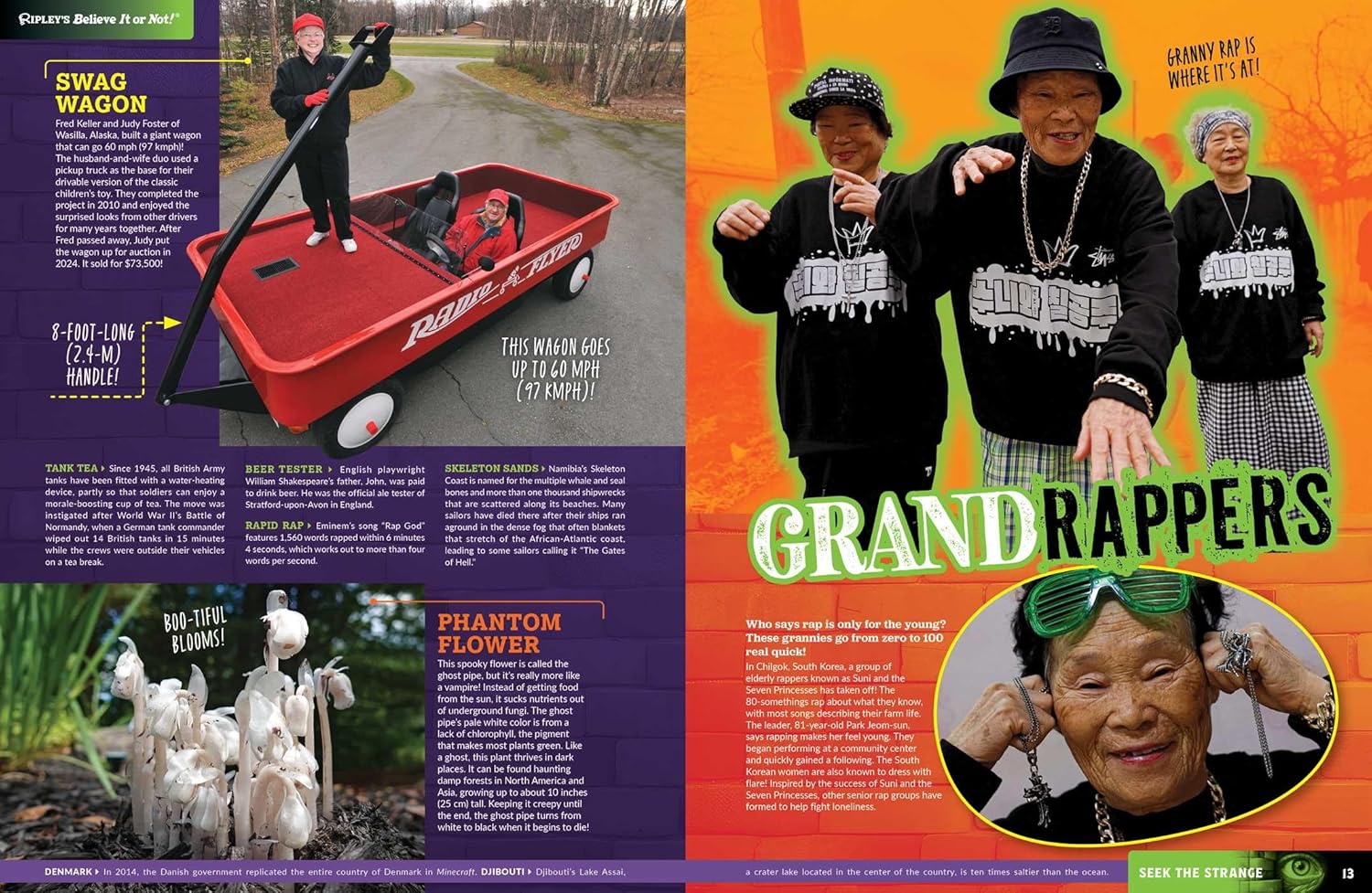 Ripley's Believe It or Not! Seek the Strange (ANNUAL) - Image 2