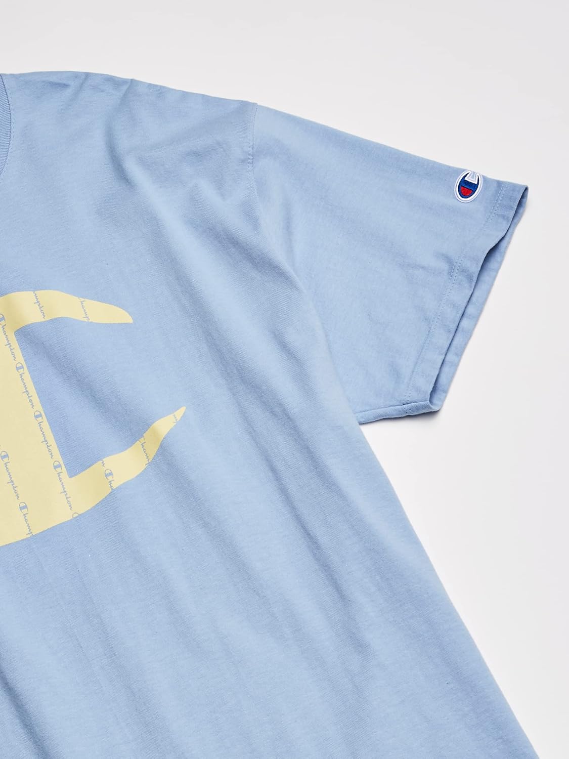 Champion Men's Classic T-Shirt, Pinstripe Script