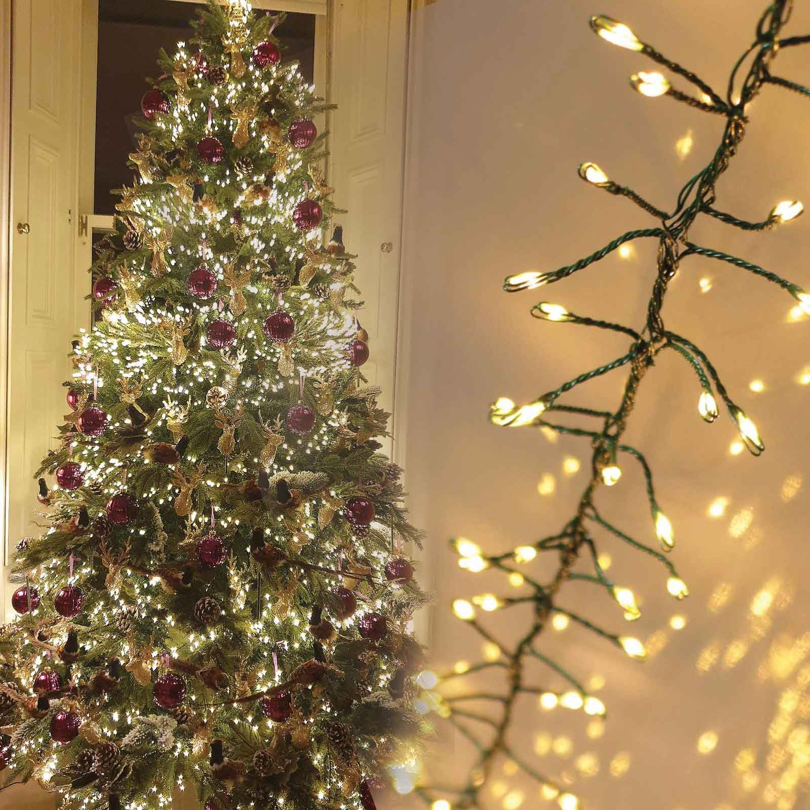 Qbis Warm White Premium 800 Cluster Lights. Christmas Tree Lights On Green Wire. Cluster Christmas Lights. Led Cluster Fairy Lights Plug In String Lights. (800 Led (Green Wire))