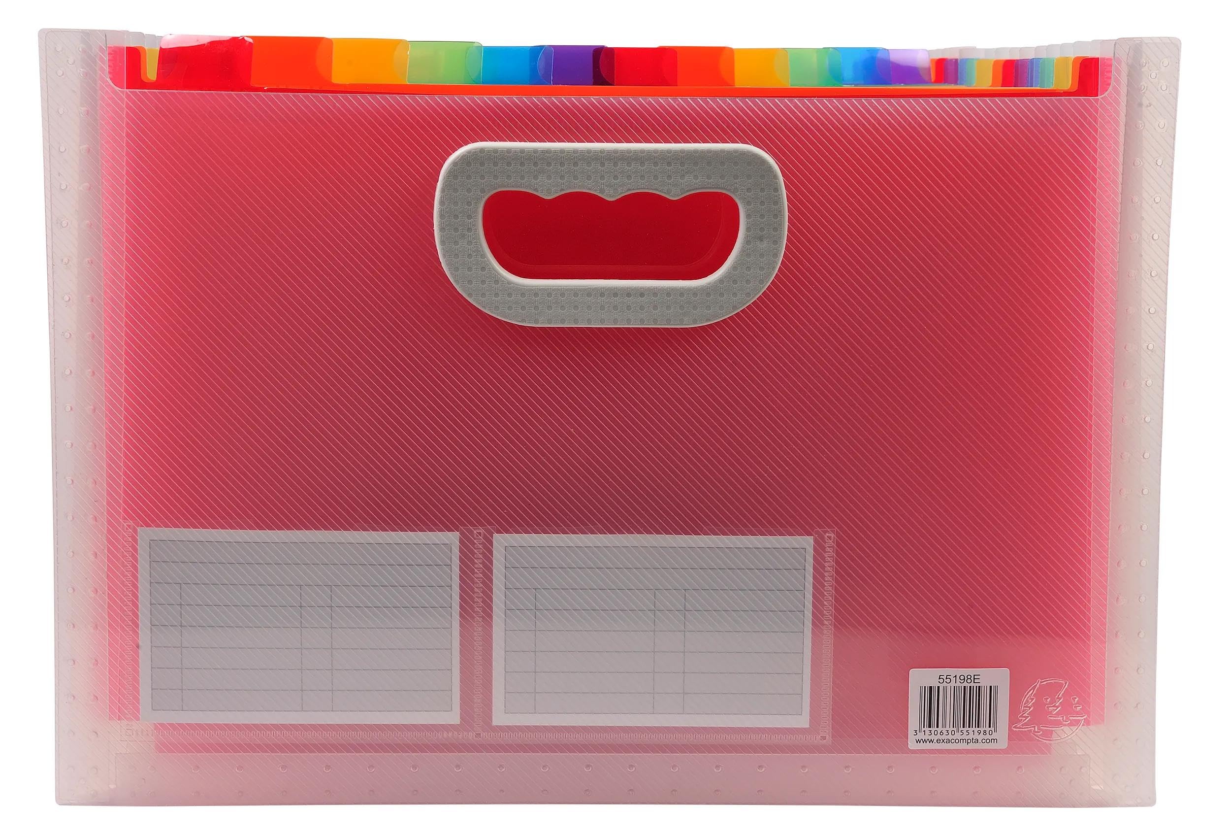 Exacompta - Rif. 55198E - Cartone da 4 raccoglitori per valigia estensibile con manici - copertina e interno in PP - con 2 portaetichette sul lato - 24 scomparti - dim 33x23,5x25 cm - cristallo