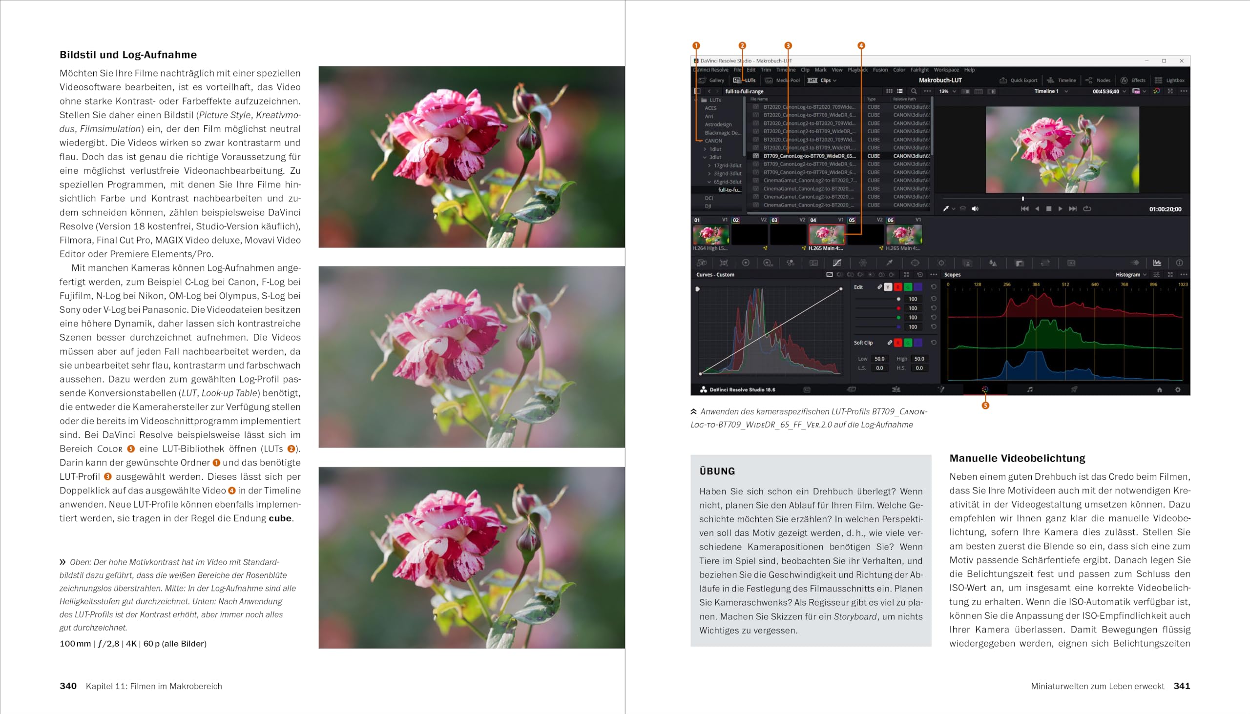 Makrofotografie: Die große Fotoschule. Pflanzen, Insekten und Objekte fotografieren. Ausrüstung, Technik, Bildgestaltung, Motivideen (Auflage 2024)