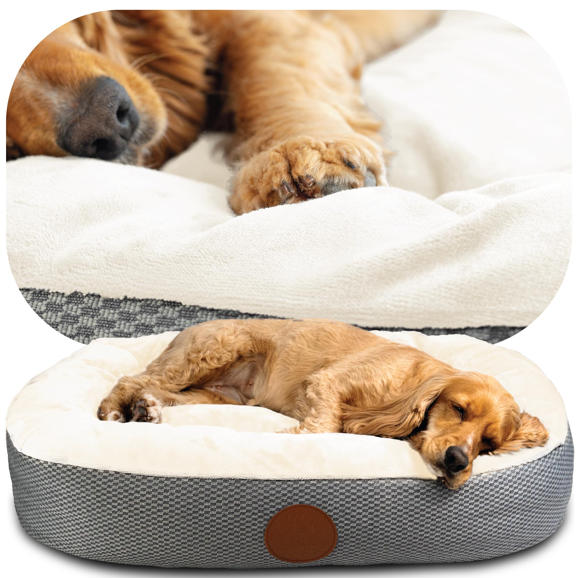 Elite PawsUK: Luxury Orthopaedic Style Dog Bed - Dual-Layer Foam Base With Plush Cushion Top, Bolstered Sides for Head, Neck & Joint Support, Plus Zip-Off Washable Fleece Cover (Cream/Grey, M)