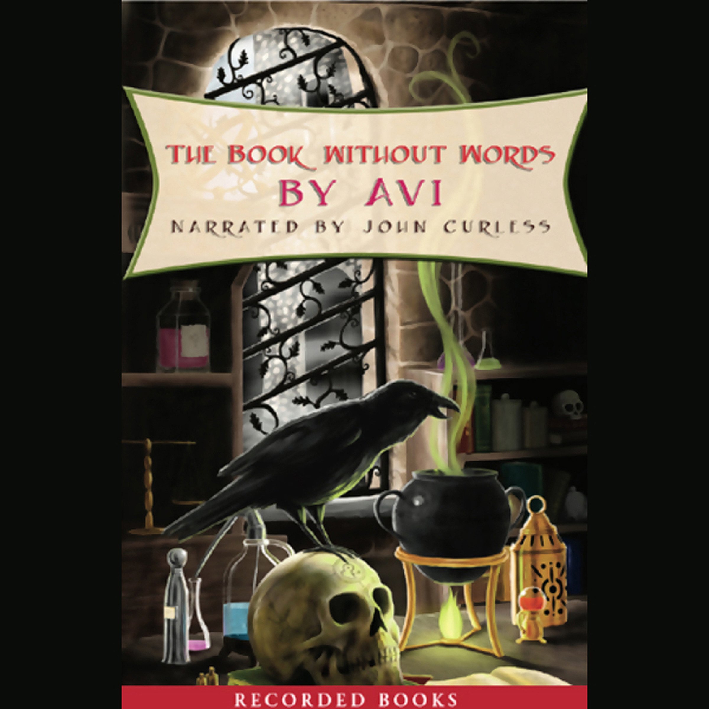 Cover art for The Book Without Words