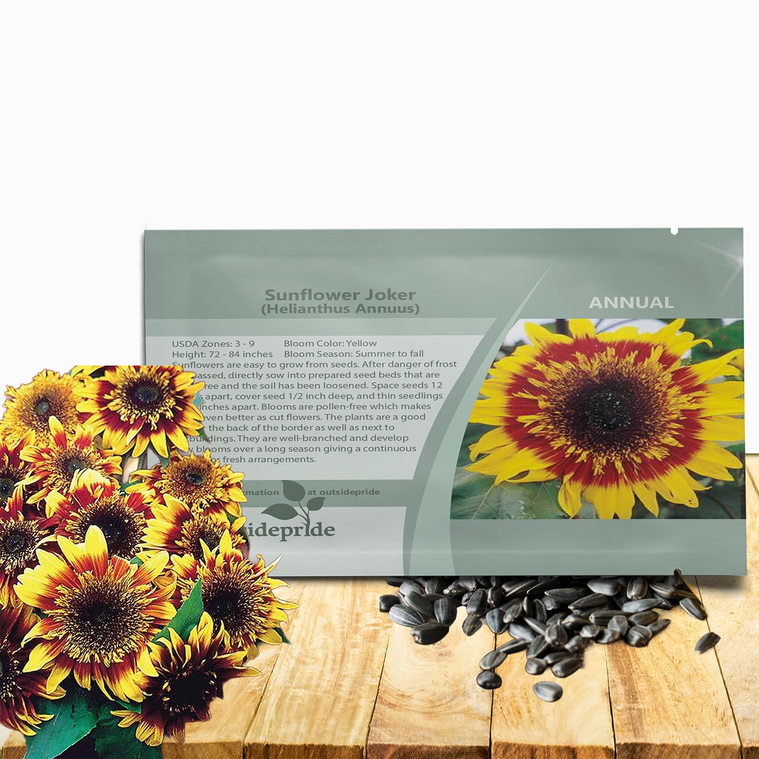 Amazon.com : Outsidepride Joker Sunflower Seeds for Planting - 100