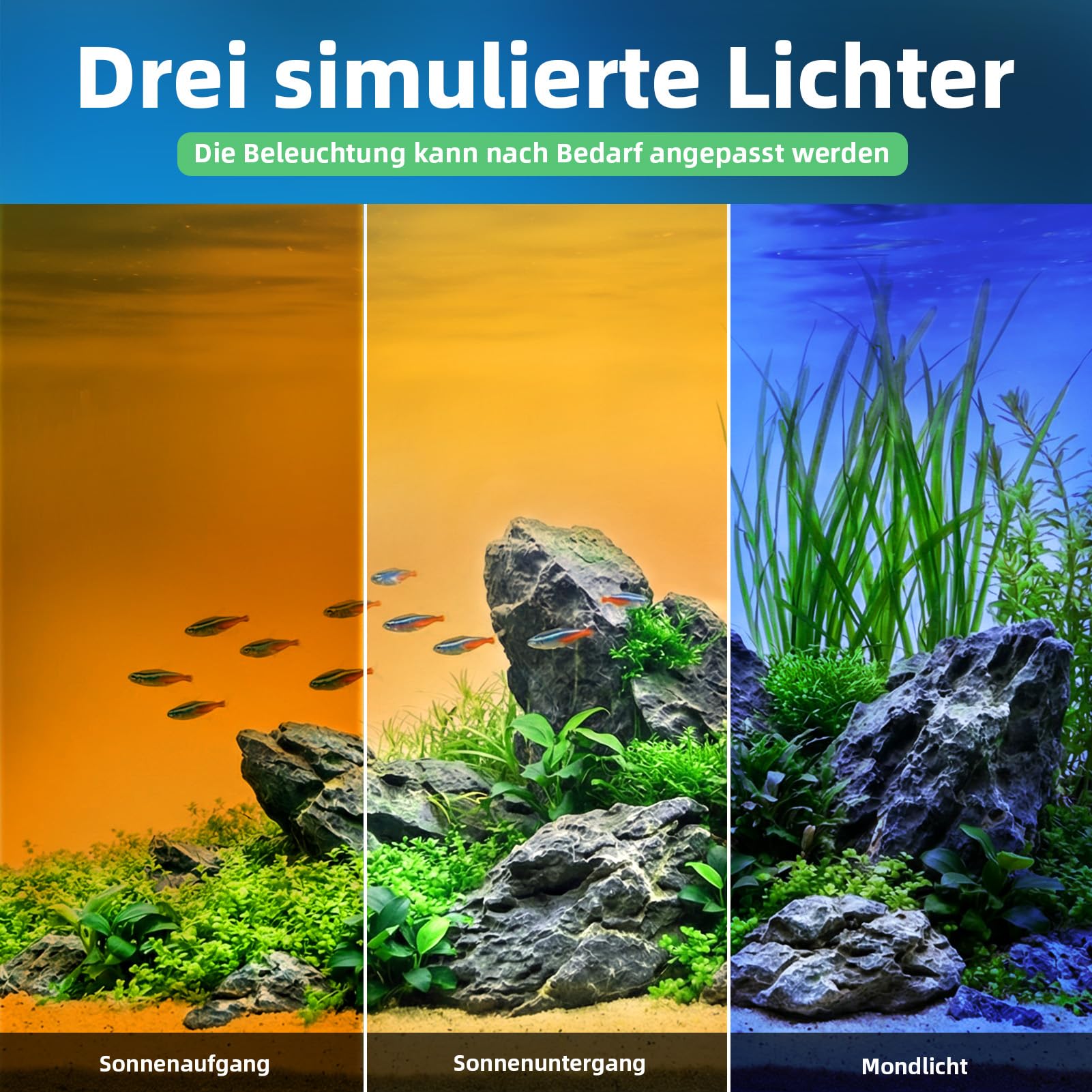 Aquarium LED Beleuchtung 89–128cm, 186 LEDs 7000Lux, Doppelsteuerung Fernbedienung+Kabelcontroller, 20 Helligkeitsstufen, 6 Dynamikmodi 24/7 Zyklus IP67 für Aquarium & Terrarium