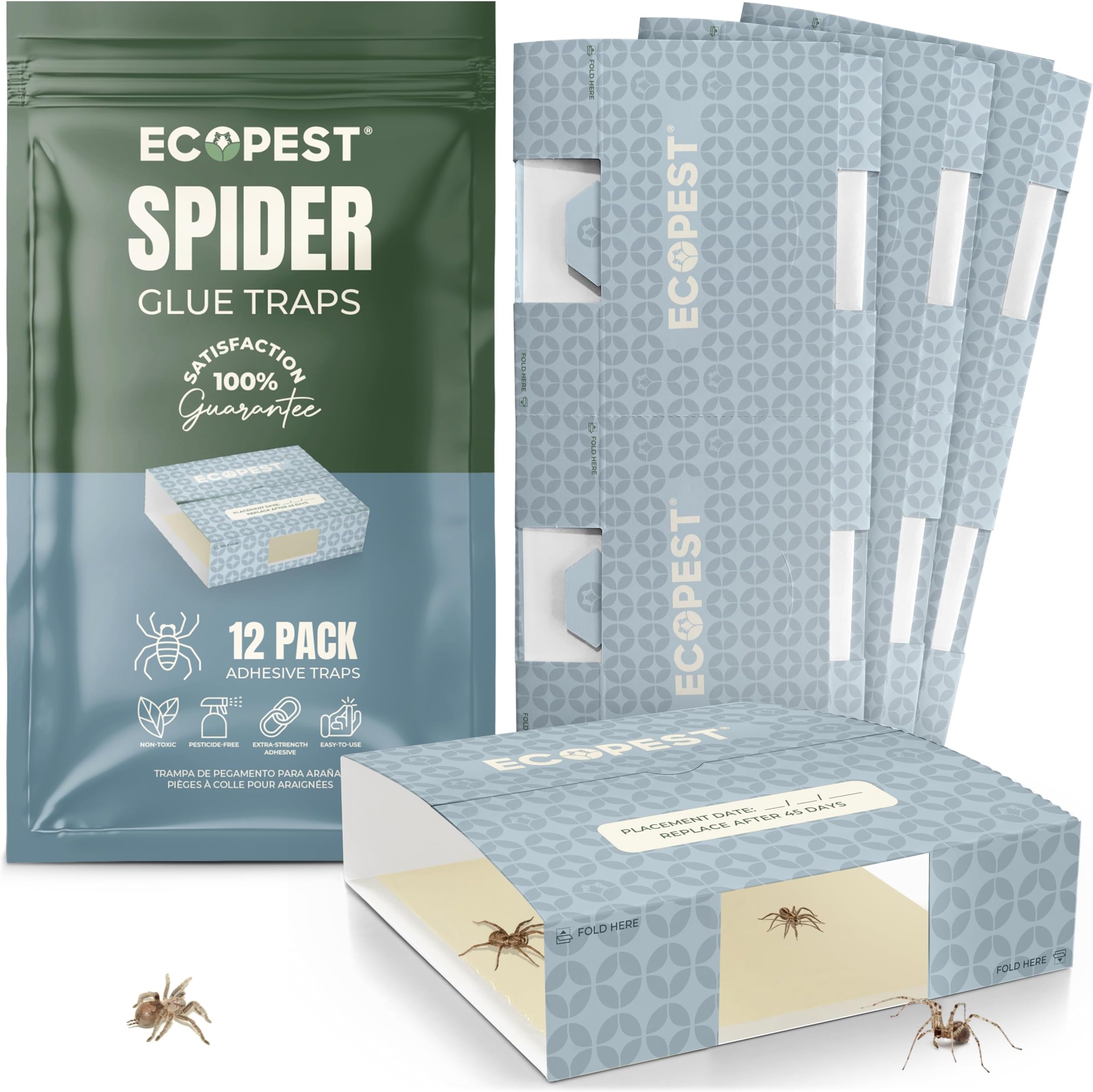 Spider Glue Trap