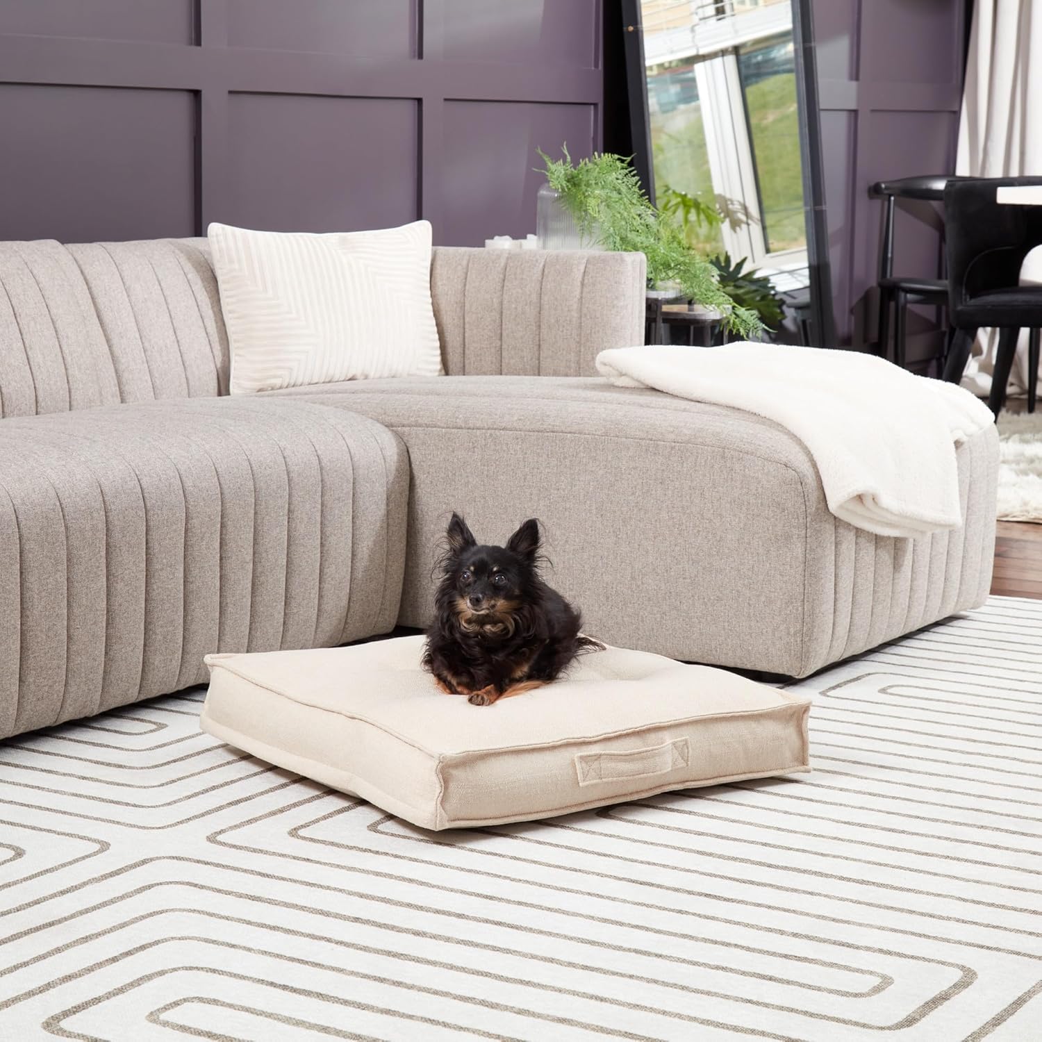 South Pine Porch Mila Square Tufted Pillow Style Dog Bed, Cream, Small (24" x 24")