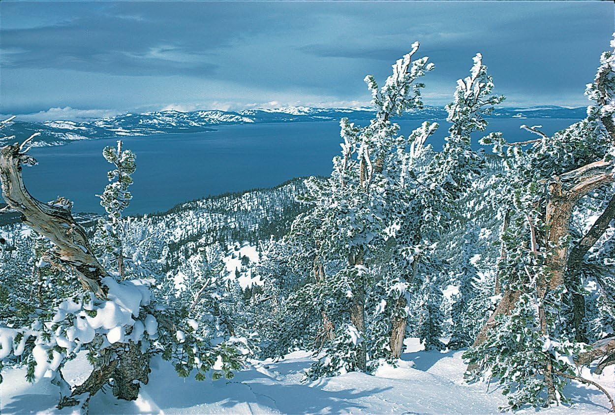 Lake Tahoe #624-Goodall Christmas Cards