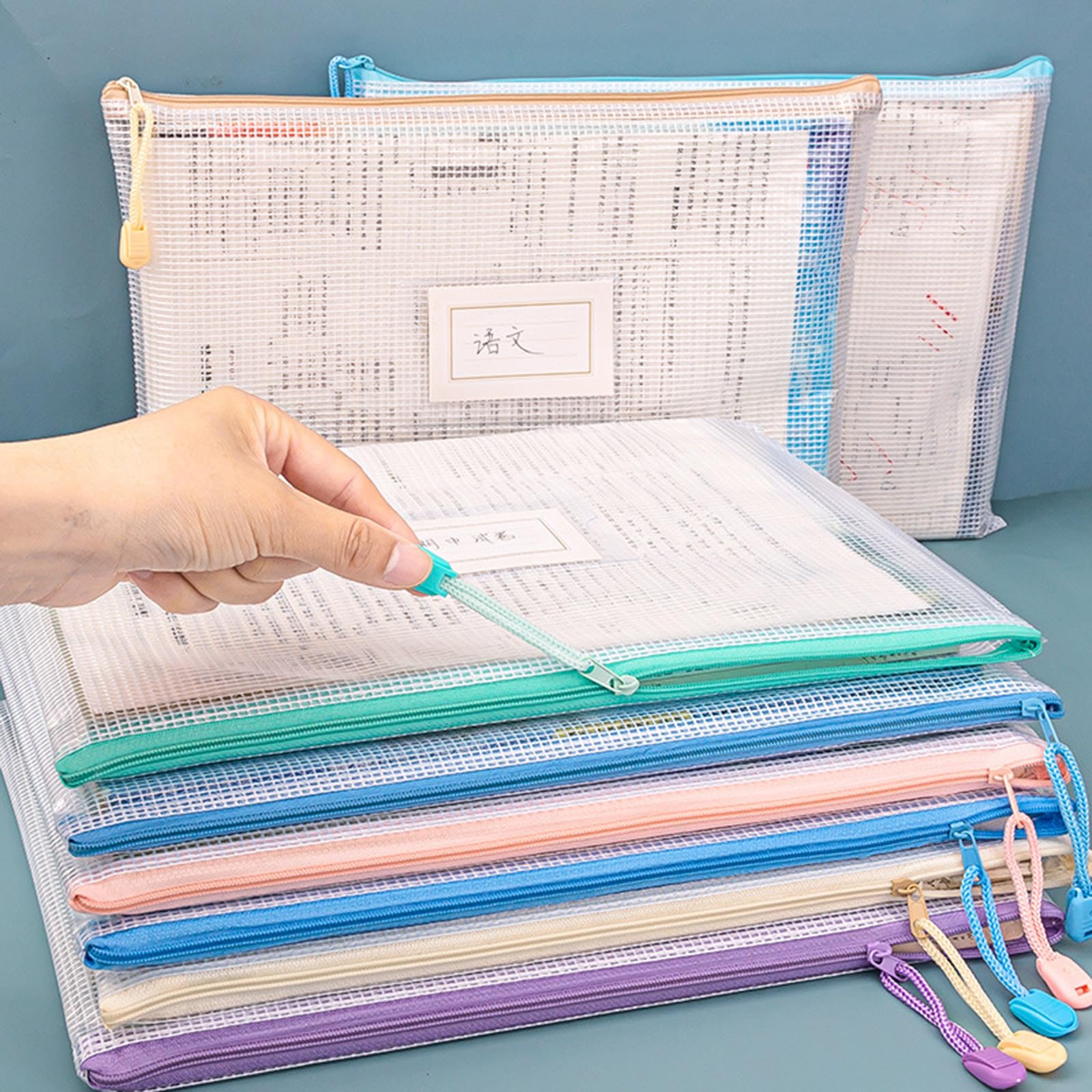 5/10 / 20 Sacchetti portadocumenti trasparenti Portadocumenti con cerniera Cartella impermeabile formato lettera per ufficio Borsa con chiusura Documenti espandibili