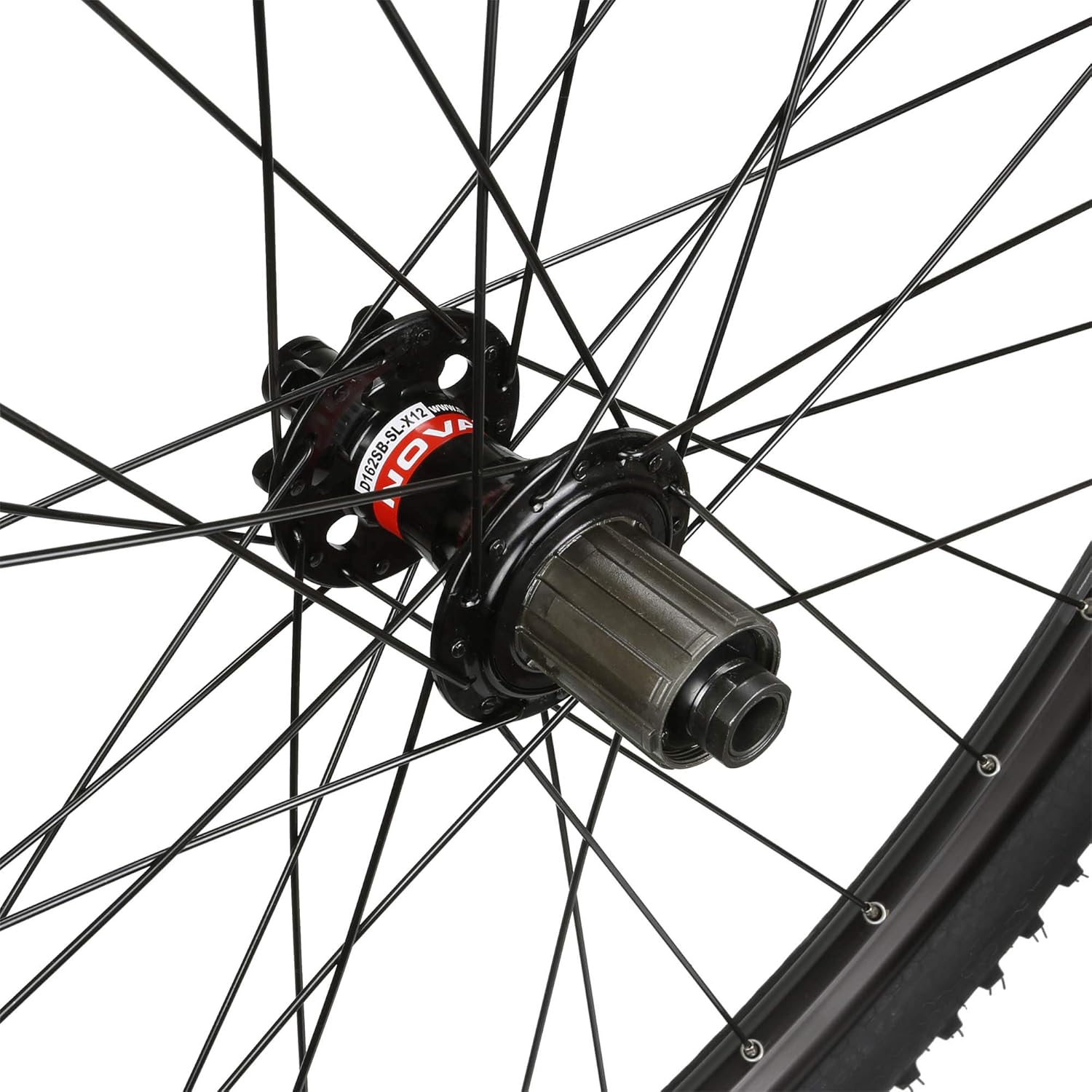 CyclingDeal WTB SX19 Mountain Bike MTB Bicycle Novatec Hubs & Continental X-King Tyres Wheelset 11speed 29" Front 15x100mm Rear 12x142mm Thru Axle : Sports & Outdoors