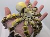 Flexible Articulating Octopus Figurine 3D Printed K E Kreations Solid Brown with White Suckers or Gold-Silver Beige Finish Sensory Fidget Aid for ADHD Autism Anxiety Desk Decor (Gold/Silver)
