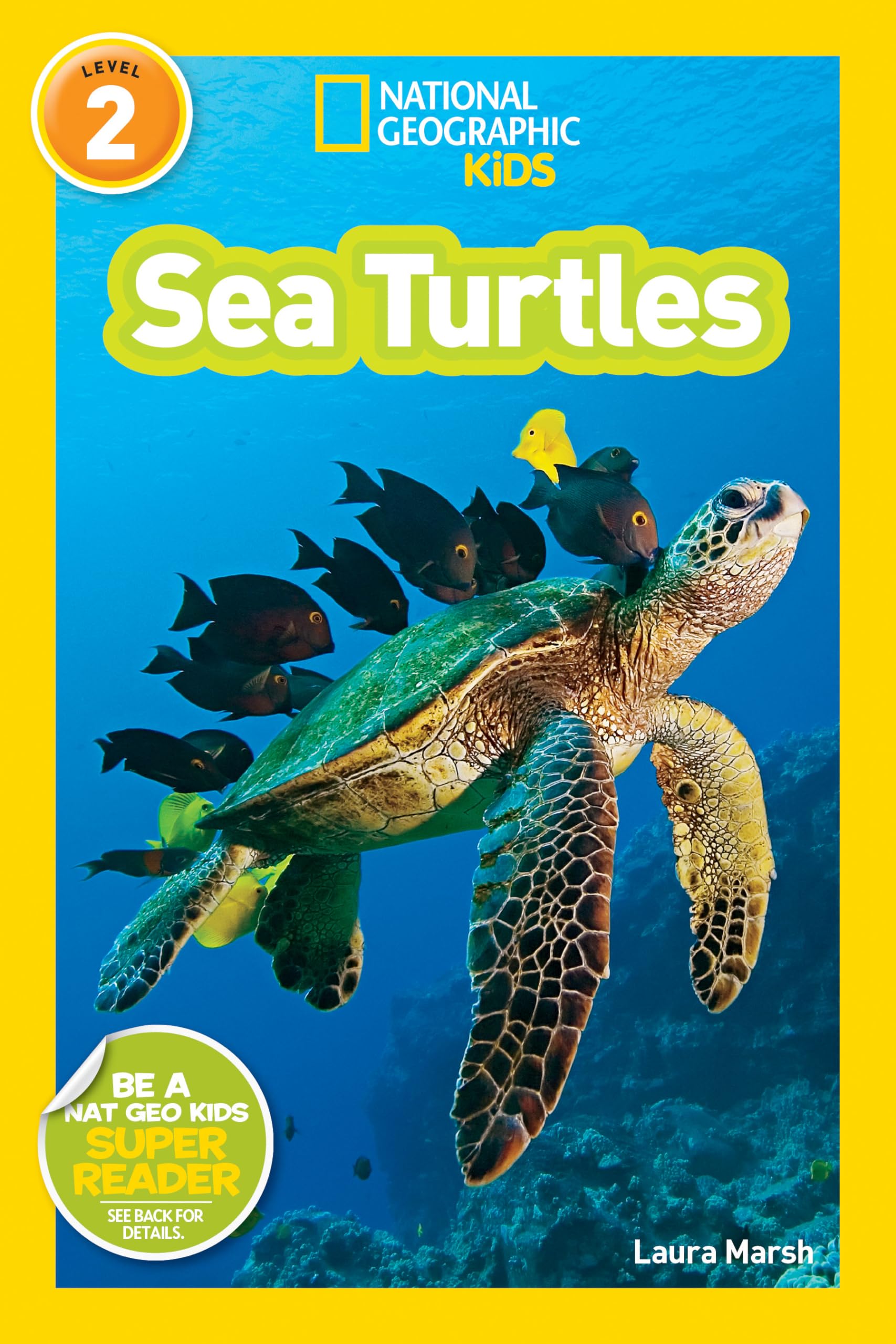 National Geographic Kids Readers: Sea Turtles Paperback – Big Book, 15 August 2011