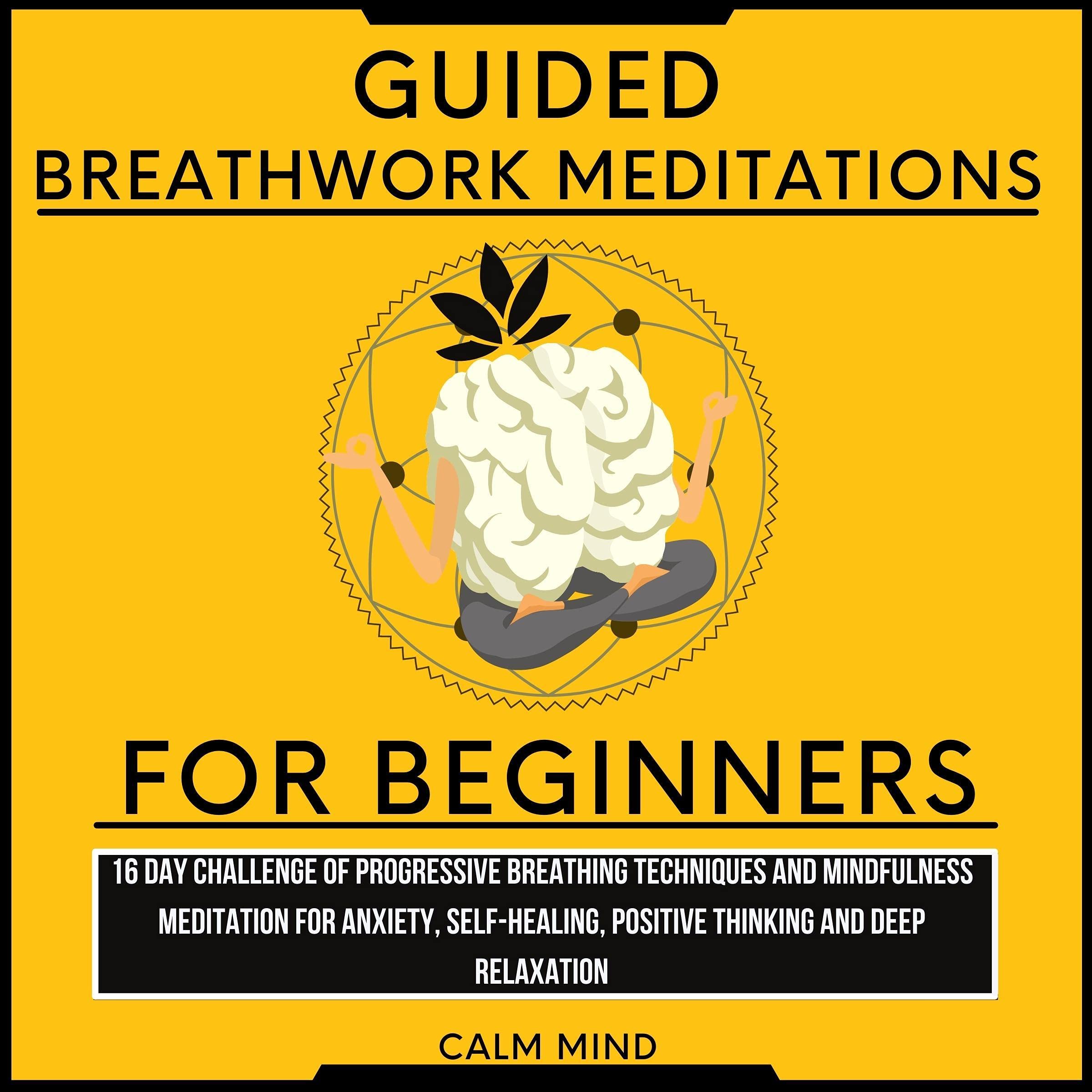 Cover art for Guided Breathwork Meditations for Beginners