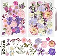 Gvhntk 50pcs Natural Dried Pressed Flowers Kit with Tweezers - Colorful Real Flowers & Leaves for Resin Jewelry, Candles, Nails, Scrapbooking DIY Crafts