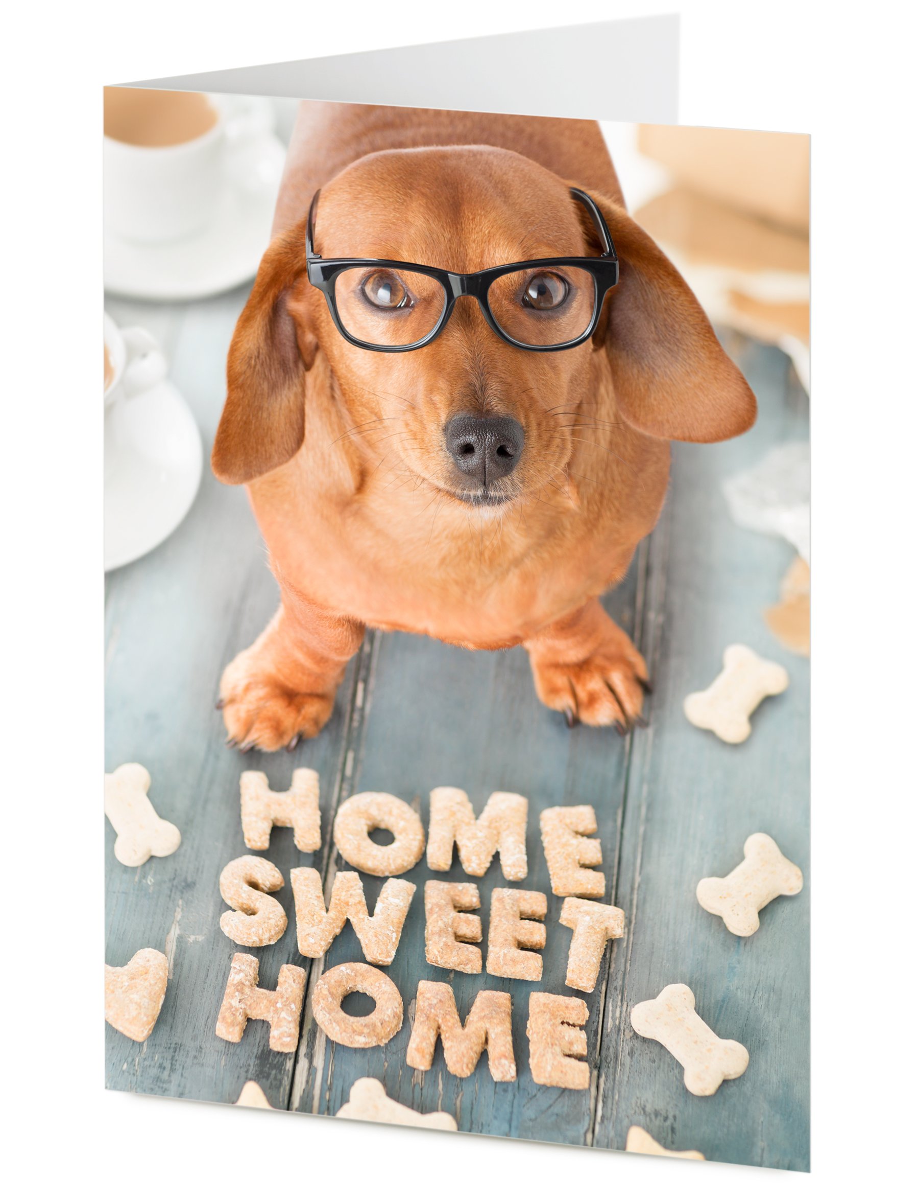 Weenie Dog Gifts Dachshund - Sausage Dog Happy Birthday Greeting Card ...