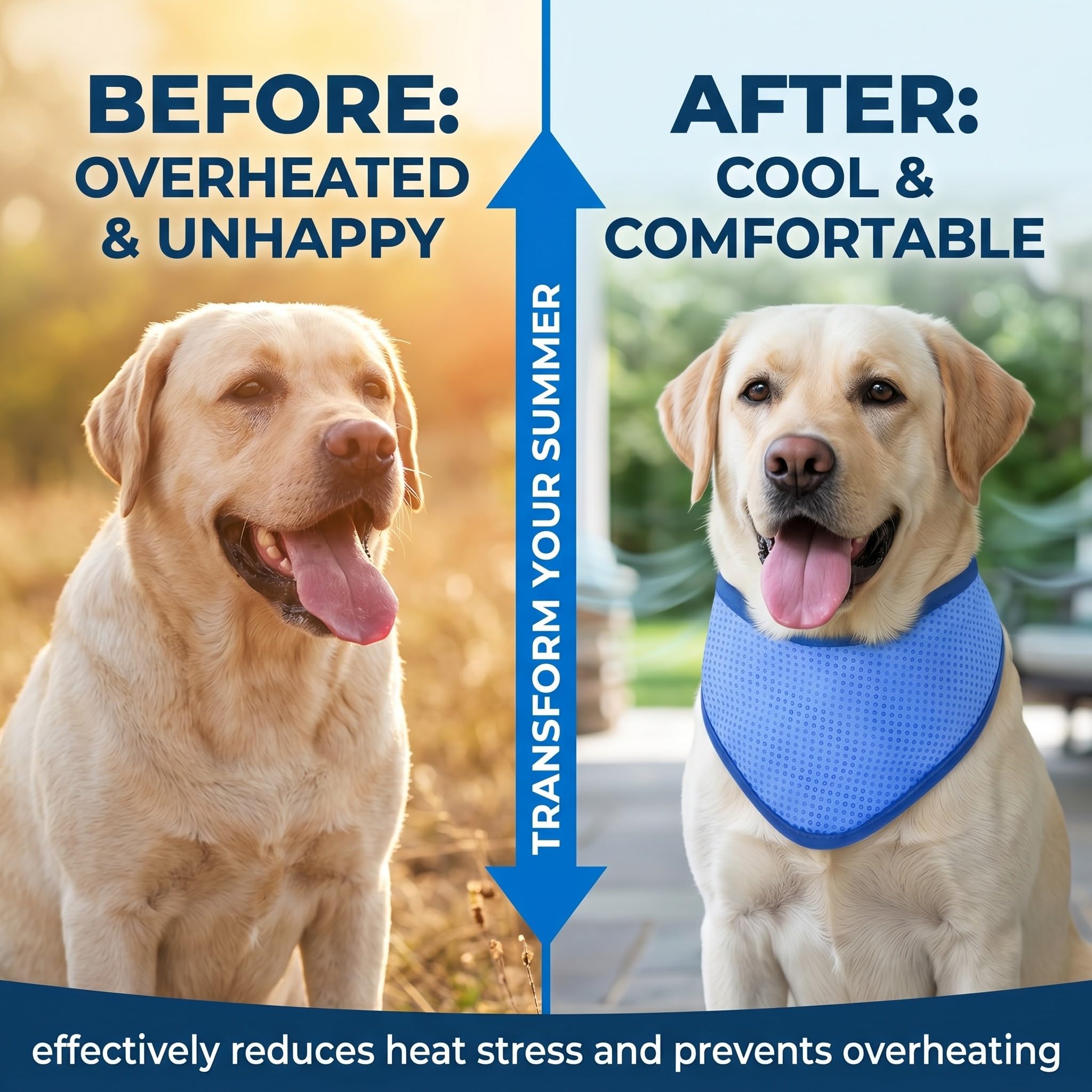 Collare rinfrescante per cane blu M, bandana fresca estiva 30-40 cm, accessorio riutilizzabile per passeggiate