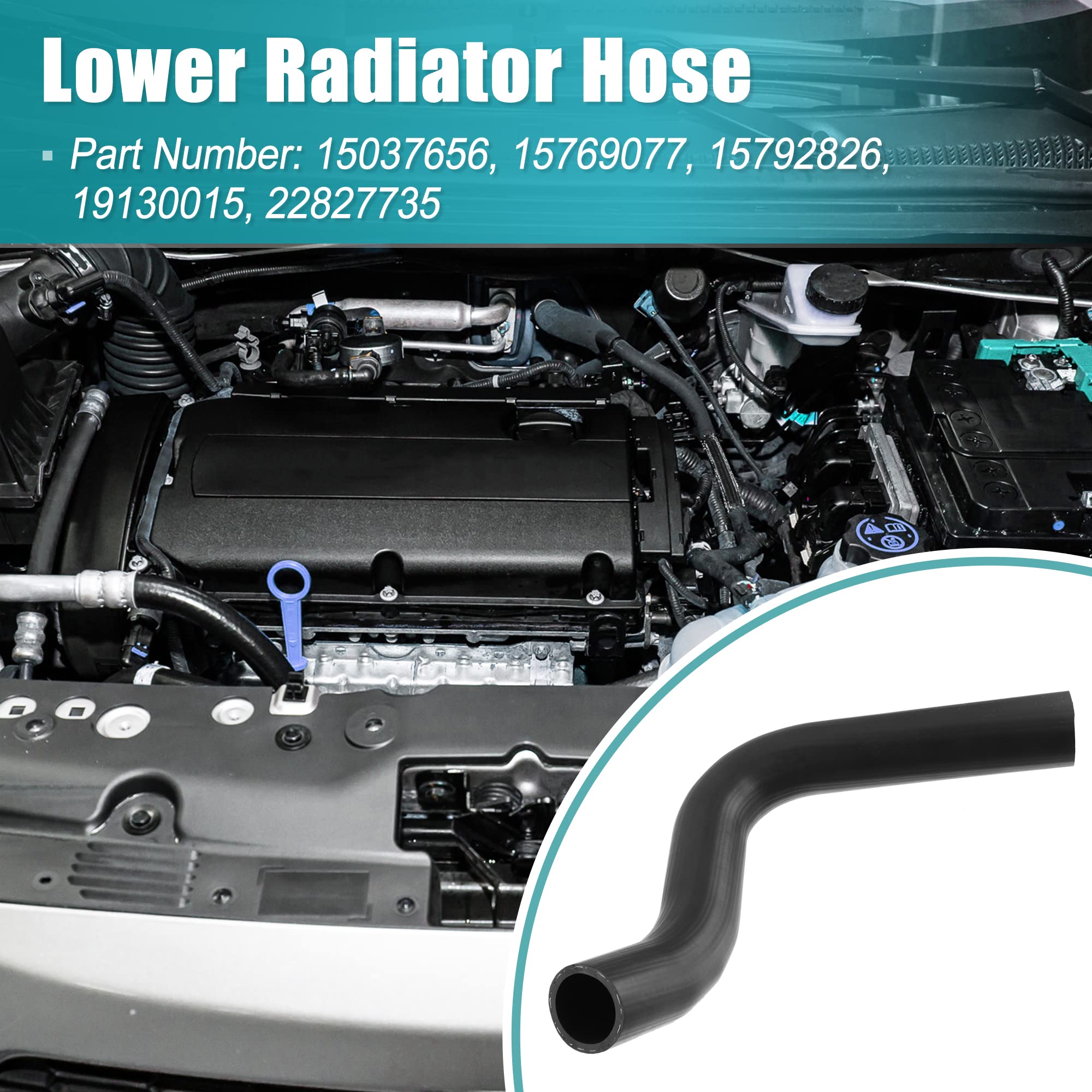 Amazon.com: X AUTOHAUX Engine Lower Lower Inlet Hose Radiator  