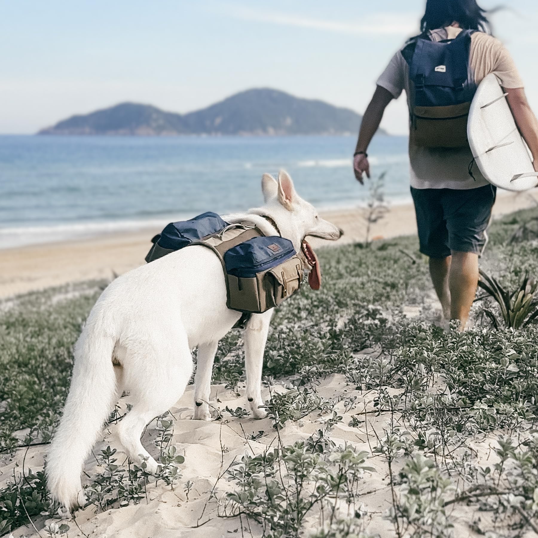 Arnés de mochila de senderismo para perros medianos y grandes, bolsa de sillín duradera con asa, compartimentos de almacenamiento grandes y ajuste ajustable para aventuras al aire libre