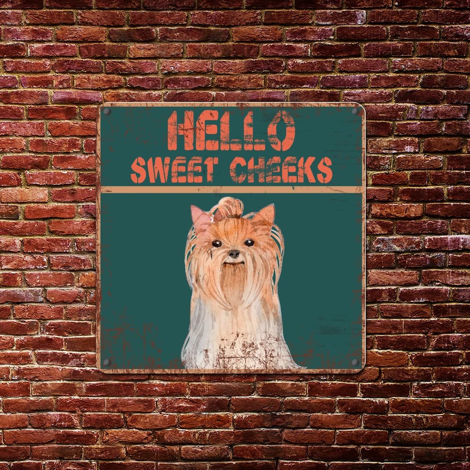 Póster Vintage De Avestruz Con Texto En Inglés «Hello Sweet Cheeks» («Hello Sweet Cheeks») Con Diseño De Animales De Comedia Divertida, Póster De Cómic Divertido Y Divertido En Lienzo Y Arte