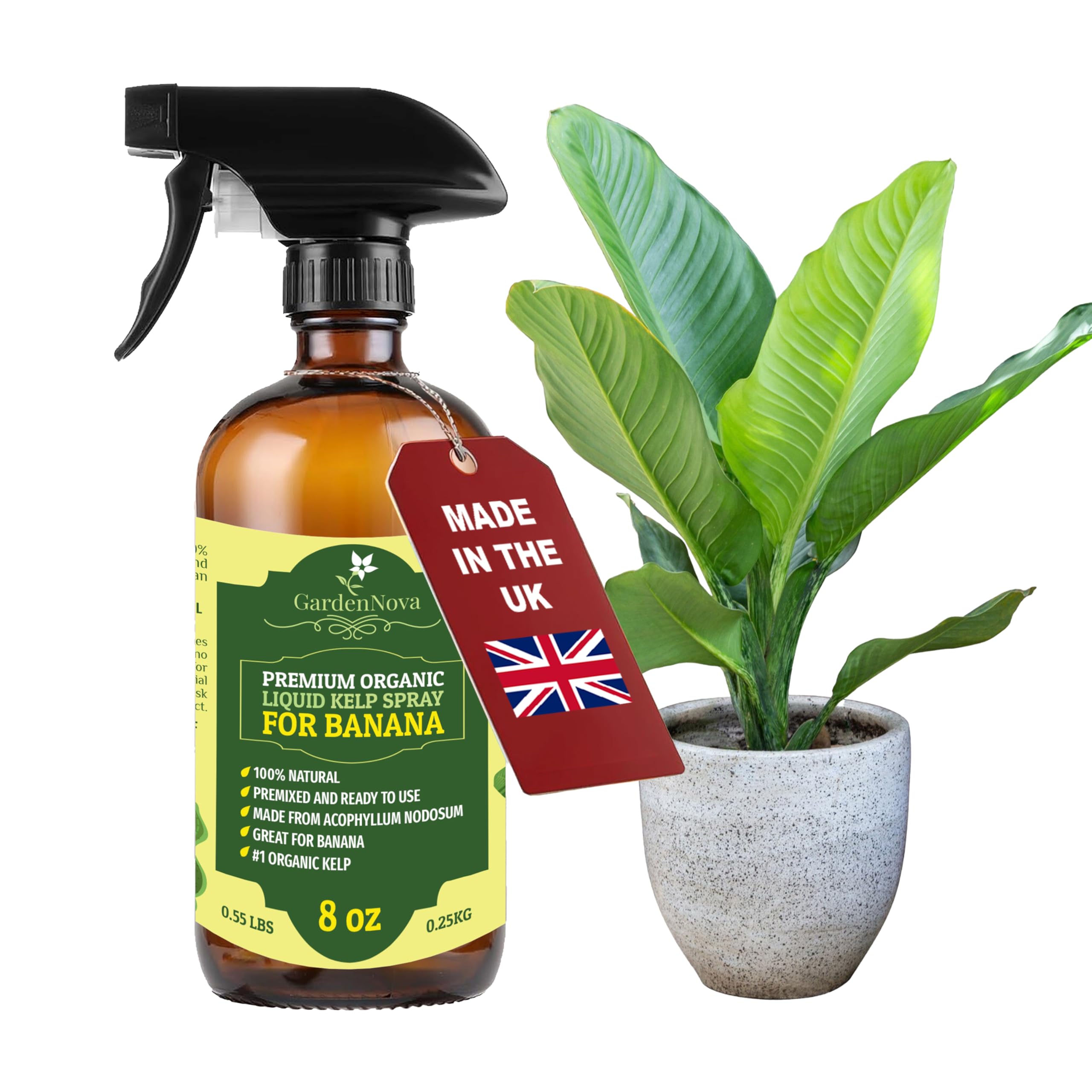 GARDENNOVA Professional Organic Liquid Kelp Spray for Banana Trees - 8 oz - Ready-to-Use Fully Organic Seaweed & Kelp Fertilizer Mist — image 1