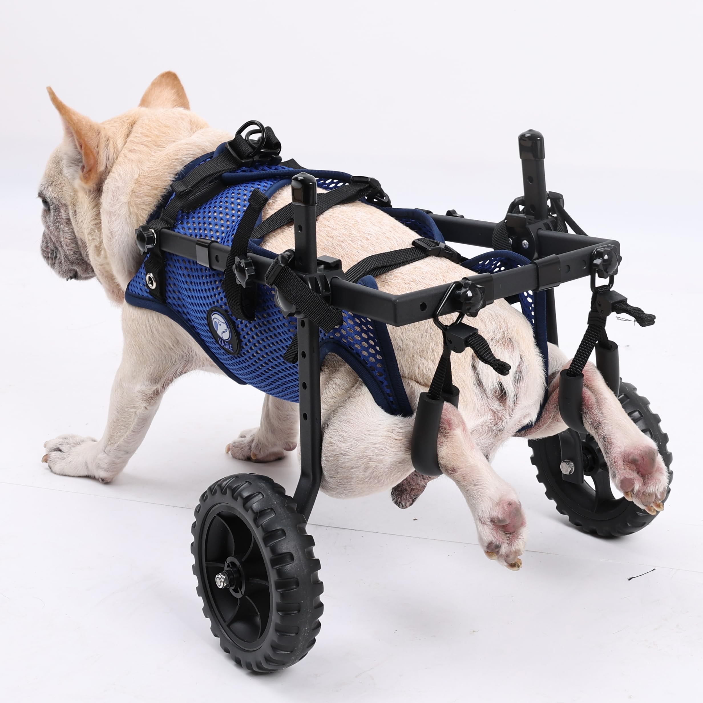 Sillas de Plegables de 2 Ruedas para Perros,Silla de Ruedas de Patas Traseras para Mascotas Pequeñas,Ajustable de Tela de Malla,Azul,S