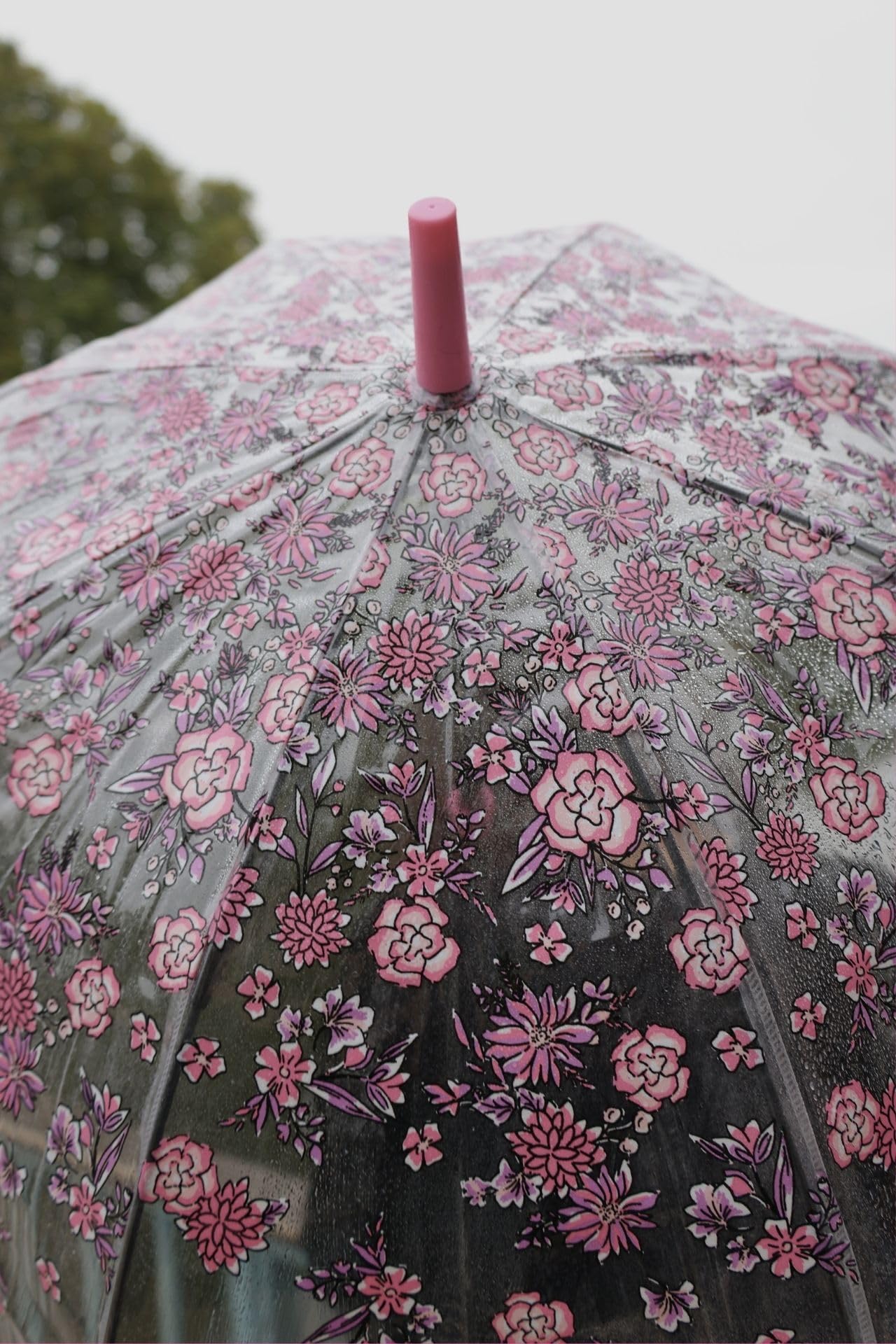 Fulton Klatka dla ptaków 2 Szkicowe gałązki Drukuj Parasol, różowy, 84 centimeters, Klatka dla ptaków 2