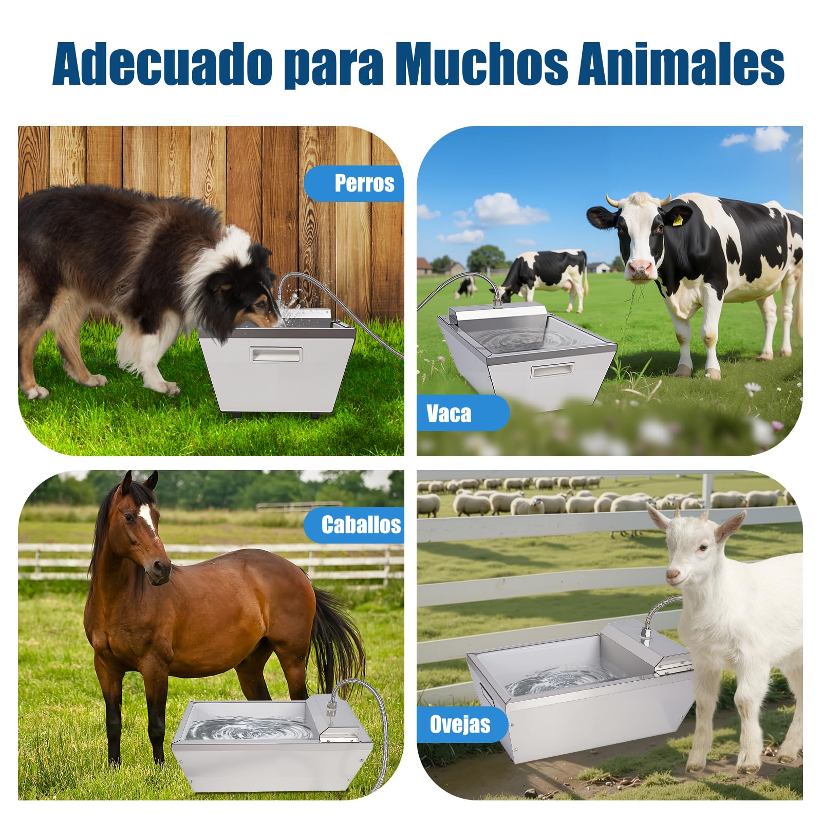 Agua AutomáTica Del Ganado,Agua AutomáTica Del Caballo De 13 Litros,Dispensador AutomáTico De Agua Para Perros Al Aire Libre,Aguador De Auto Llenado Inoxidable Para Perros Grandes,Ganado,Caballo,Cabra