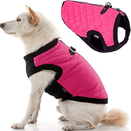 Gooby dog apparel Clearance