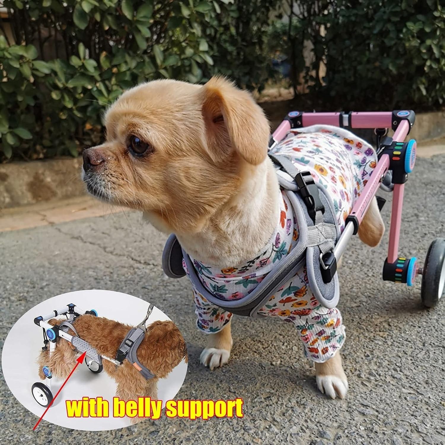 Silla de Ruedas para Perro 2 Ruedas Plegable Ajustable Soporte Completo Mascota Carro Rehabilitacion Patas Traseras Perro Discapacitado Cachorro Facil Montaje T, White, XS widen for 8-12kg