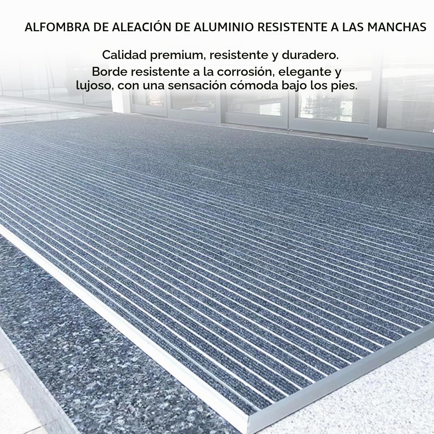 Felpudo De Aluminio 60 x 40 Cm,Puerta Principal Felpudo con Goma,Alfombrilla Entrada,Exteriores y Colector De Suciedad Interior,Rascador De Zapatos,Alfombrilla Entrada,Plateado y Gris