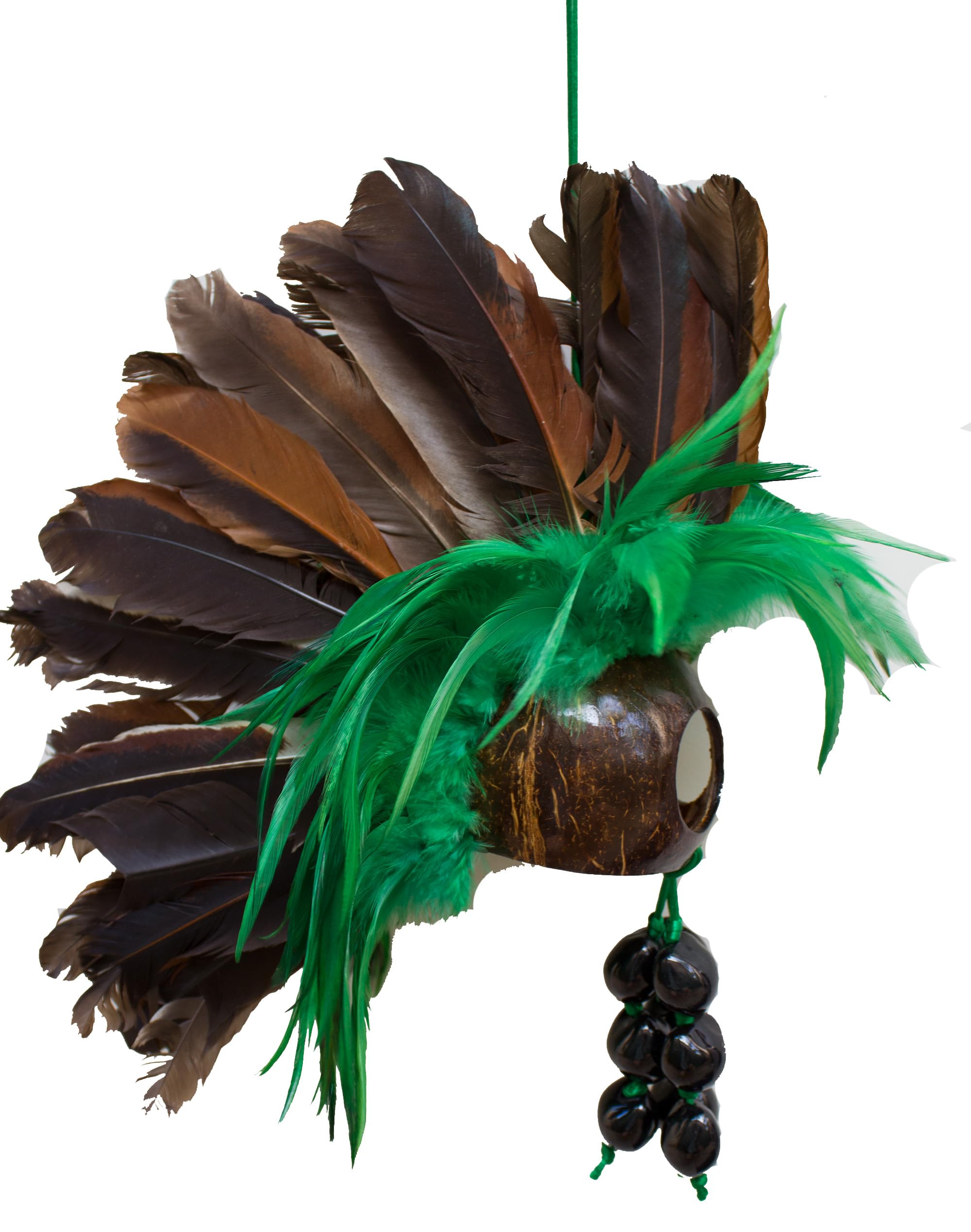 Extra Large Hawaiian Warrior Ikaika Makaki'i Coconut Shell Feather Helmets