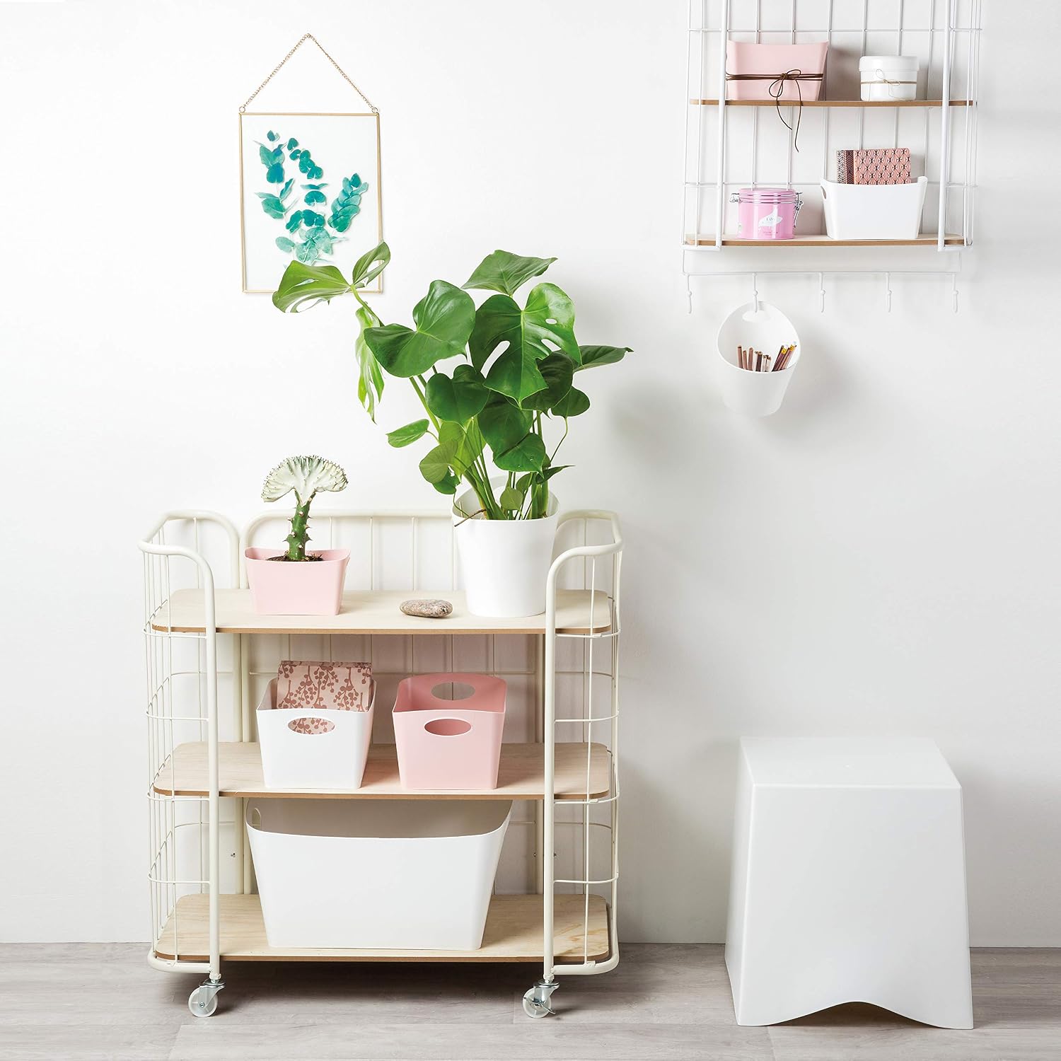 Koziol 5744583 Boxxx M 3.5 L Storage Bin