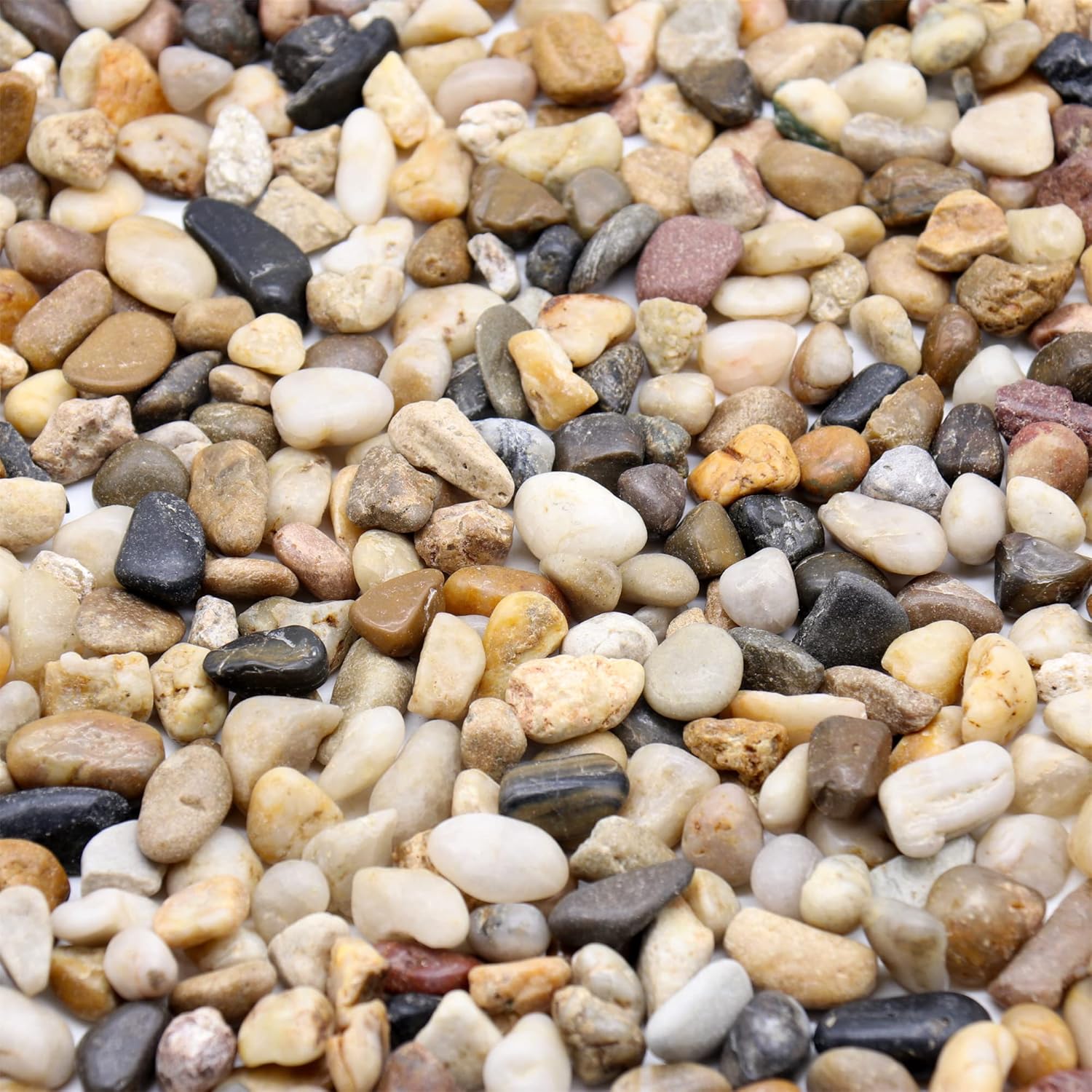 Premium Pebbles Rocks for Plants. Mixed Color Decorative