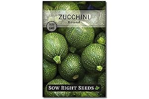 Revitalizing Your Soil With Sow Right Seeds' Unique Globe Squash: A Horticultural Gem