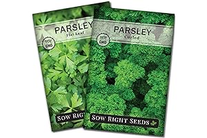 Sow Right - Flat and Curly Leaf Parsley Seeds for Planting -...