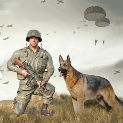 Seconde Guerre mondiale : appel au courage