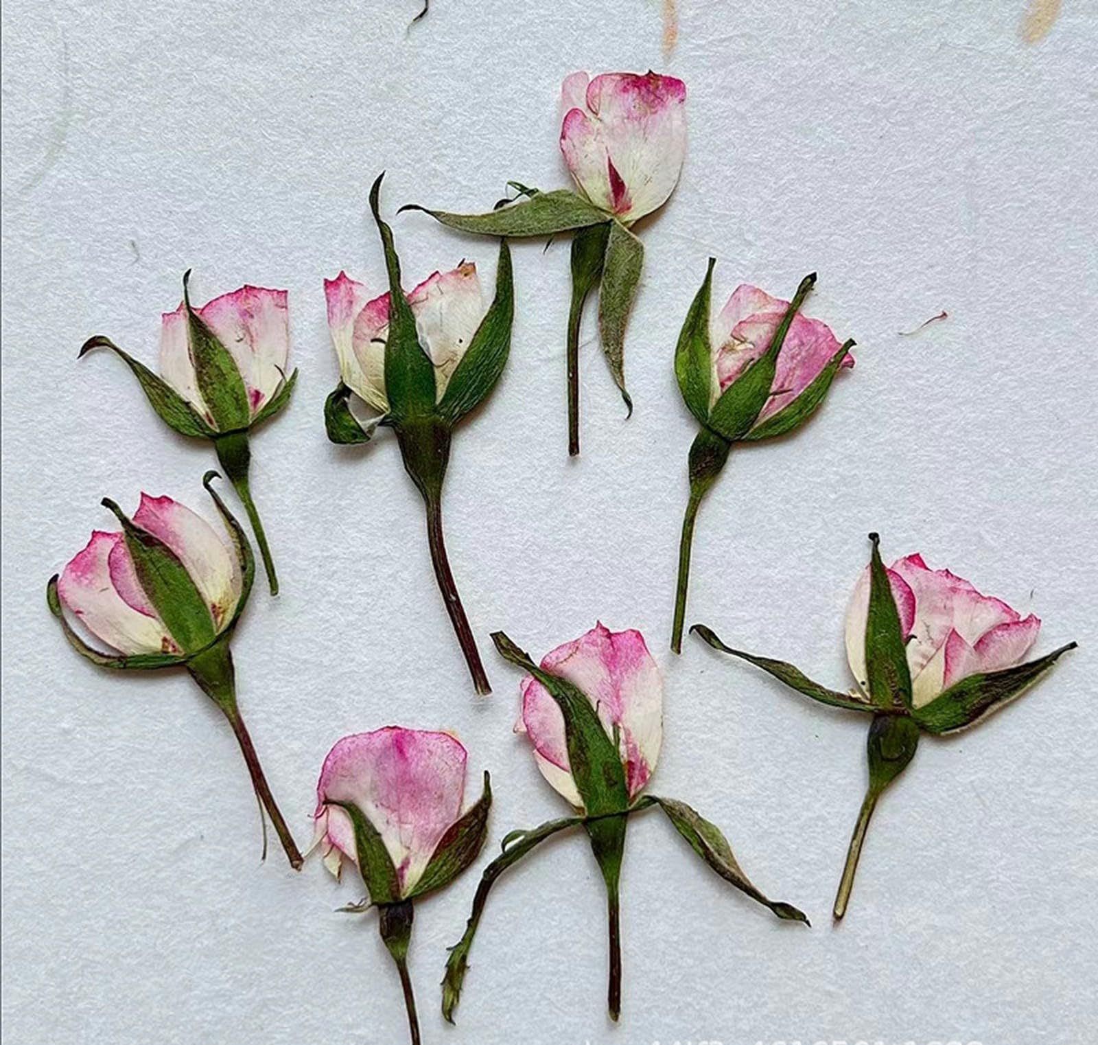 DONGMACE 18 Pcs Side pressed dried rose flowers embossed natural plant specimens handmade DIY beauty and nail materials-A