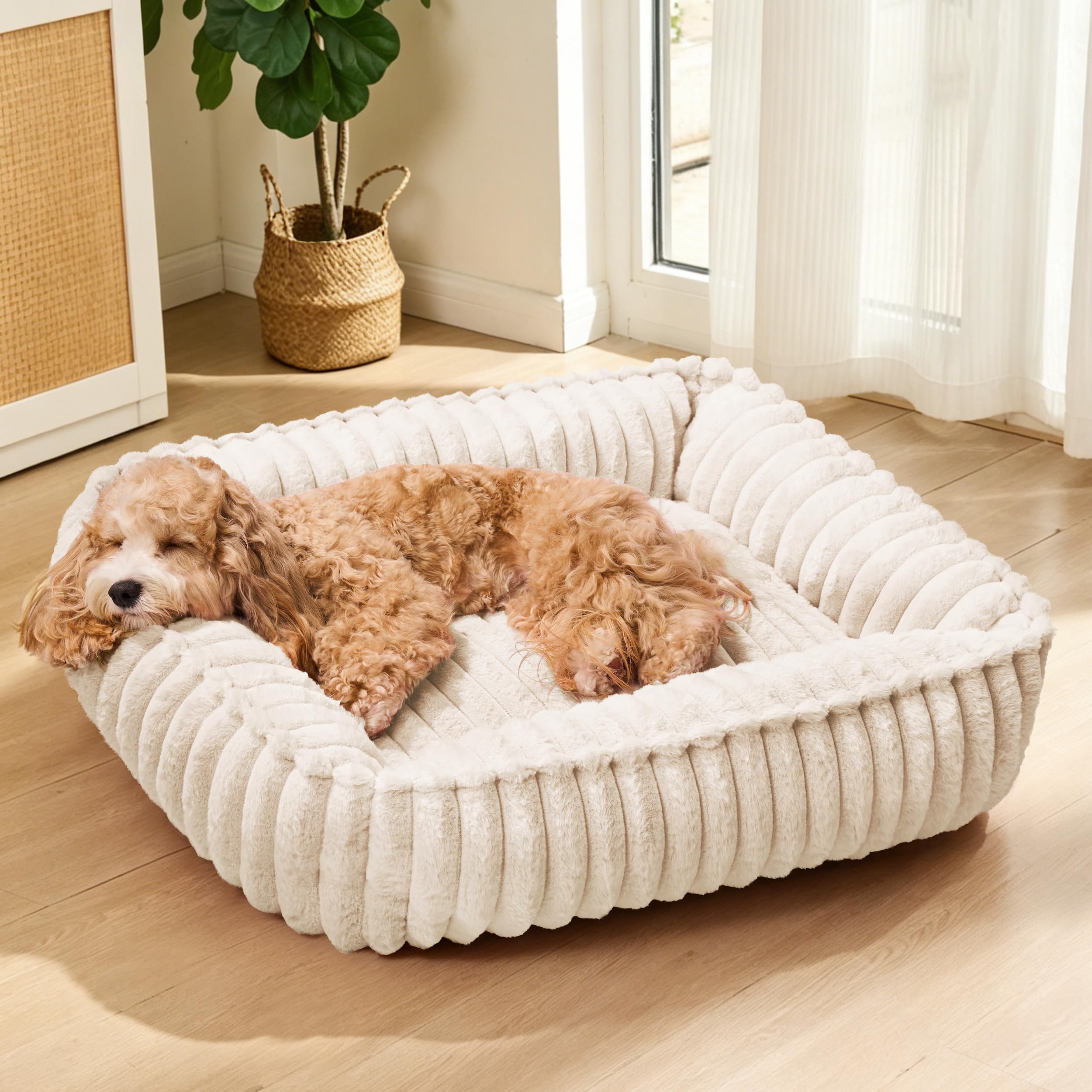 Jolibean Calming Dog Bed Large Sized Dog 90x70cm, Rectangle Orthopedic Soft Pet Sofa Beds, Anti-Anxiety Cozy Washable Pet Couch with Anti-Slip Bottom, Ivory