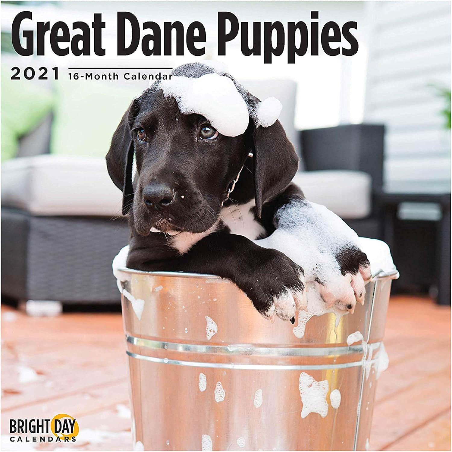 2021 Great Dane Puppies Wall Calendar by Bright Day, 12 x 12 Inch, Cute Dog