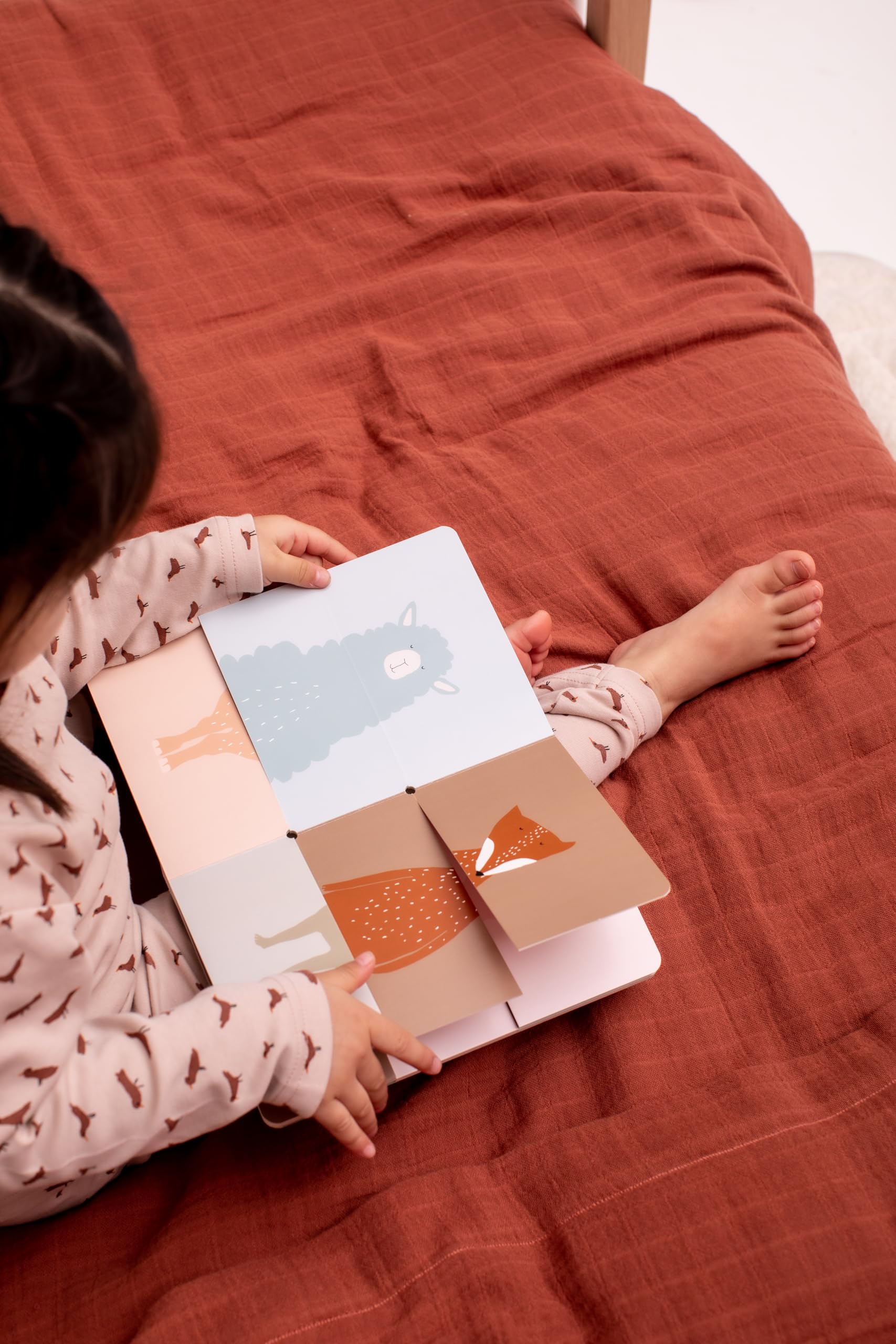 Amazon.co.jp: Trixie フリップフラップブック - FSC認定の厚紙
