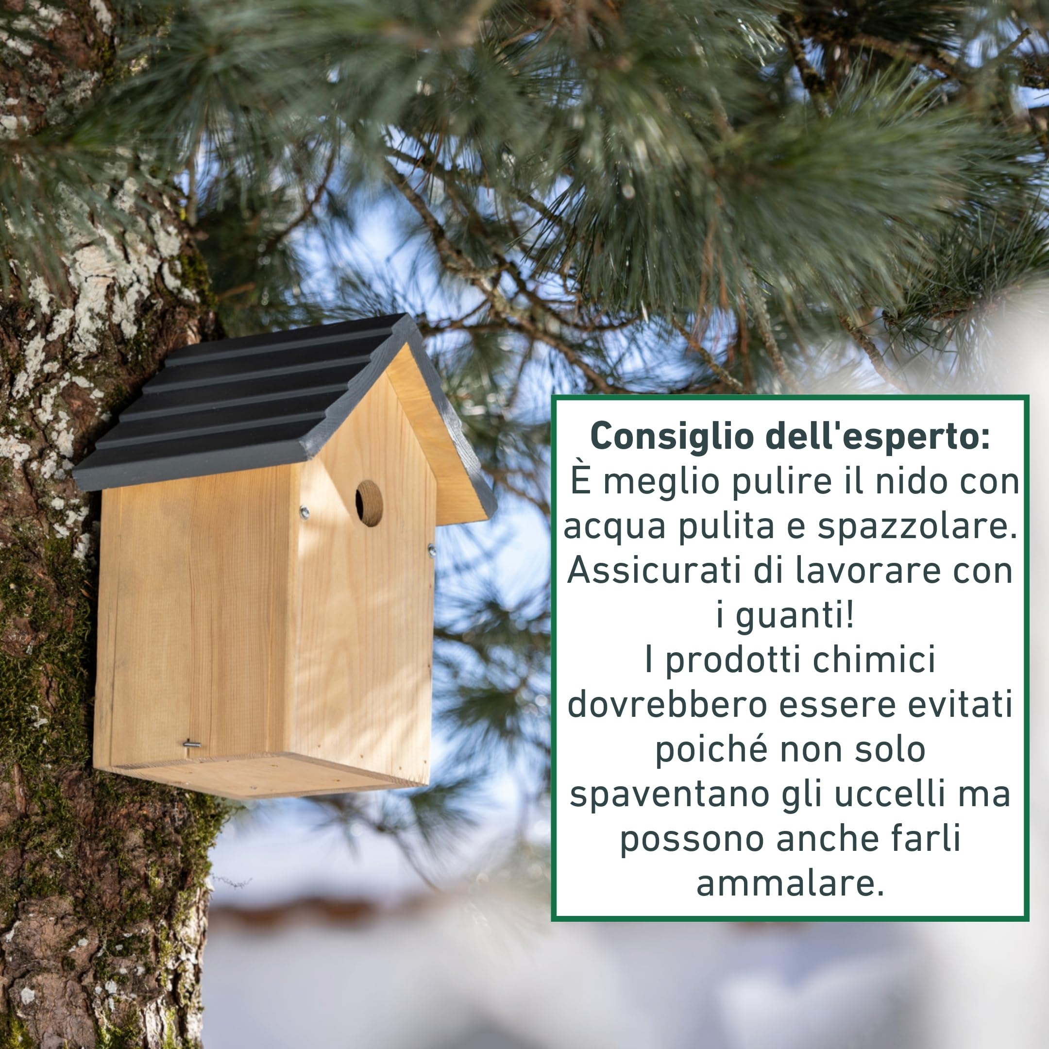 Windhager cassetta nido per uccelli Cosy, legno di pino massiccio, foro dingresso Ø 28 mm, casetta per uccelli, cassetta nido per cinciallegre, da appendere, resistente agli agenti atmosferici