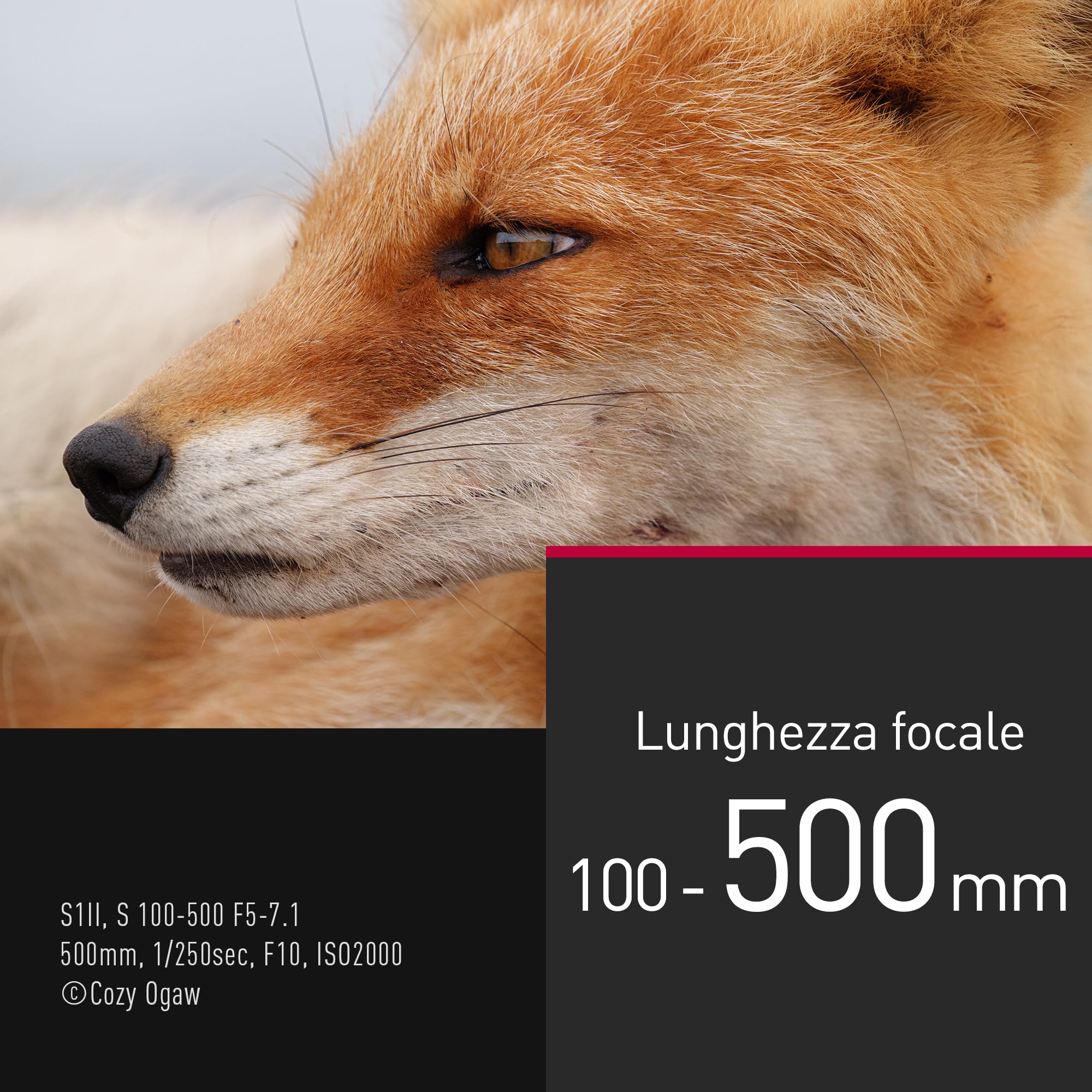 Panasonic LUMIX S-R100500E 100-500 mm F5-7.1 O.I.S. L-Mount, Teleobiettivo Zoom Full-Frame, Messa a Fuoco Ravvicinata 0,8 m, Ghiera di Messa a Fuoco Regolabile, Resistente alle Intemperie, Nero