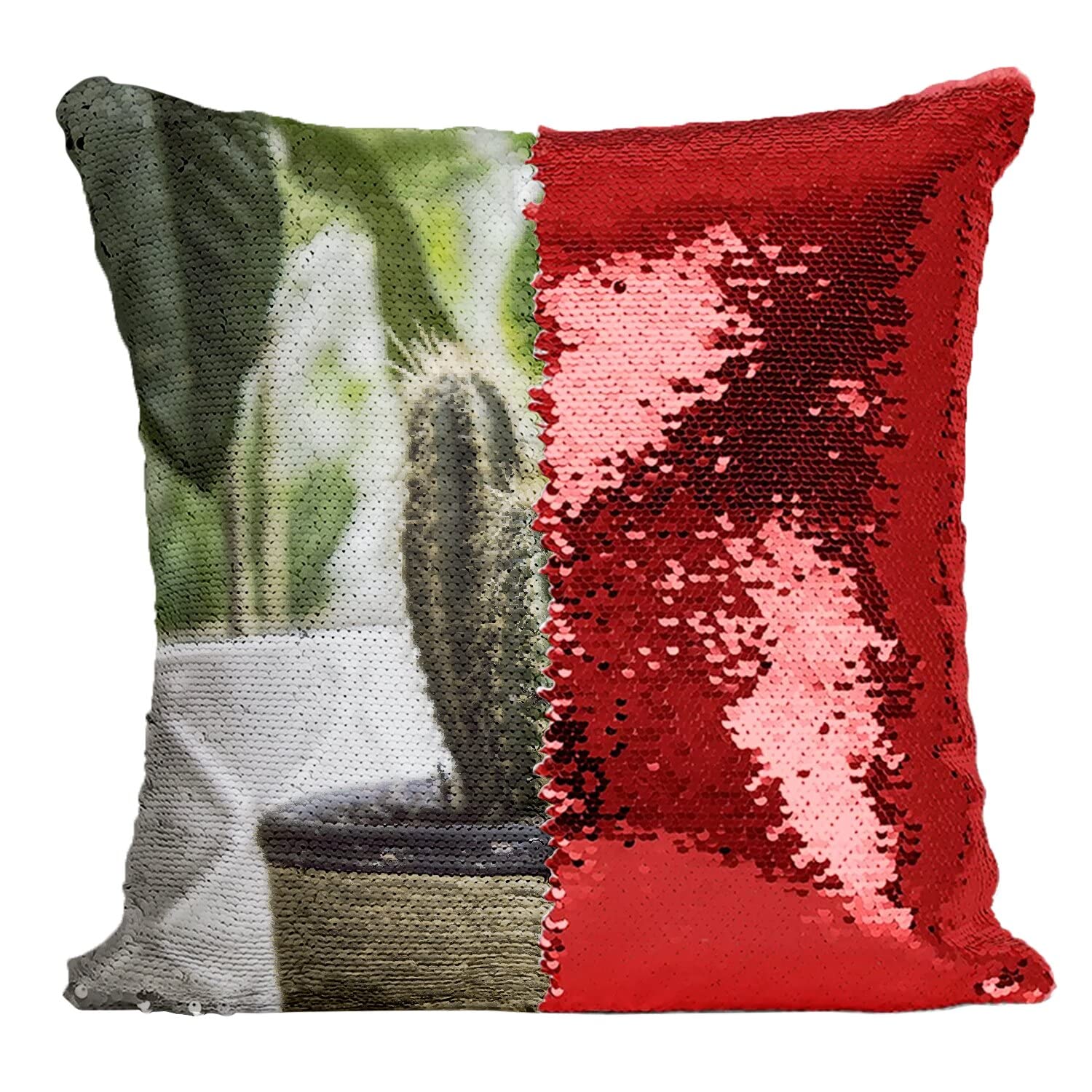 Housse sequin paillettes rouge cactus en pot Cereus décoration maison intérieur