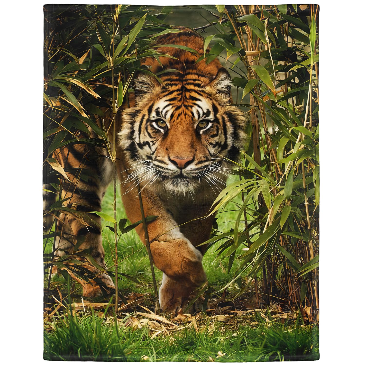 YISUMEI - 125 x 150 cm Decke - Heftiger Tiger Fleecedecke,Kaschmir-Gefühl Kuscheldecke Geeignet für Bett oder Sofa